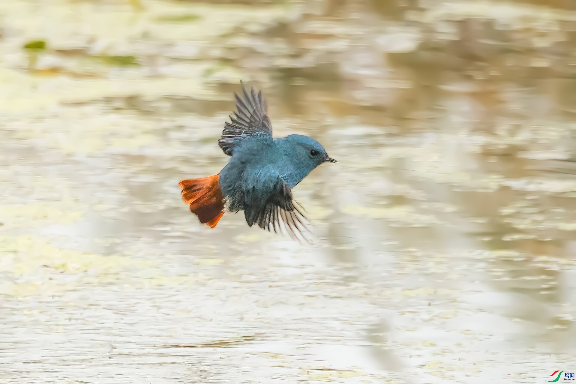 IMG_3325-CR2_DxO.jpg