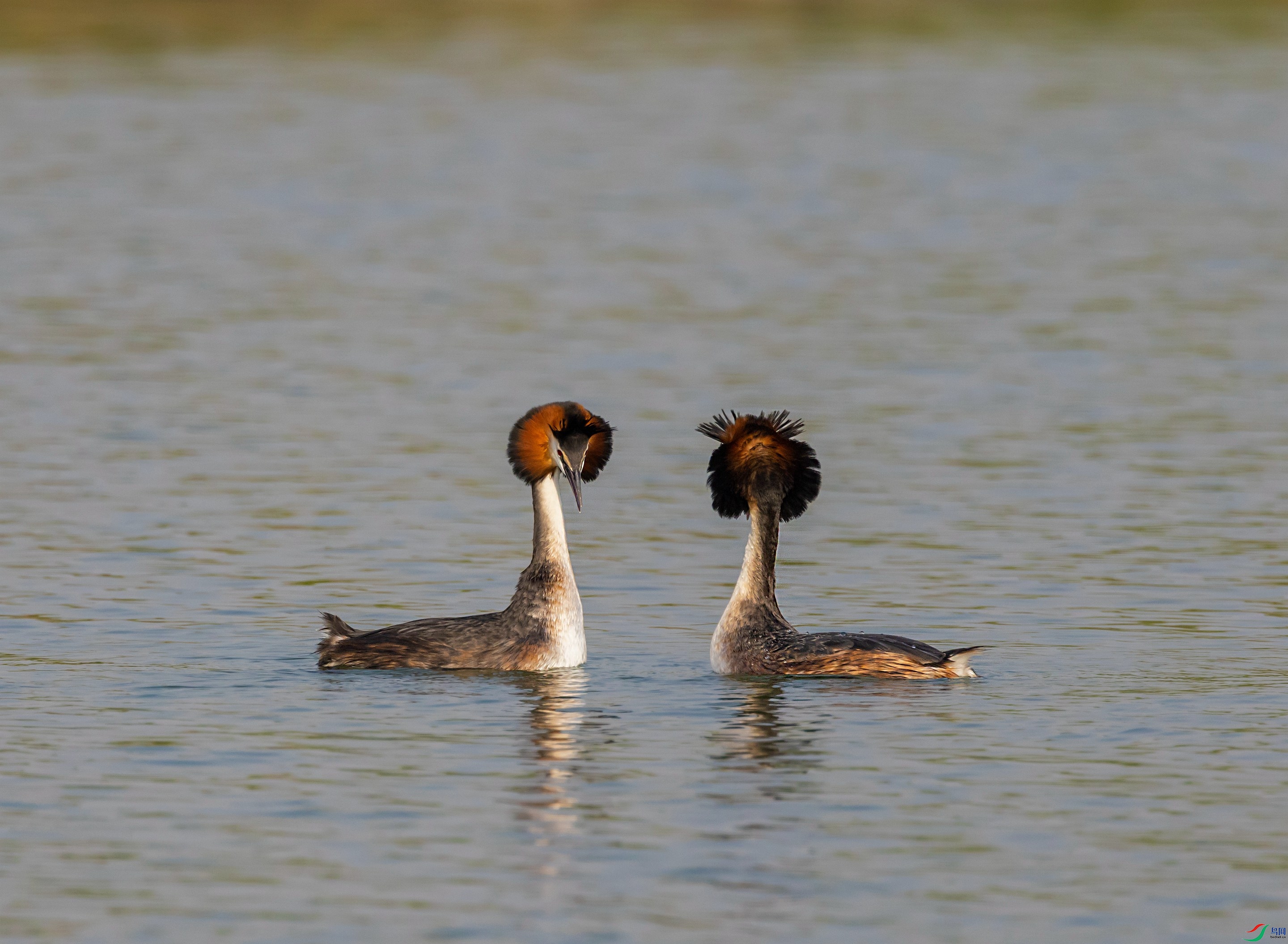 5D8A9741 - ����_����.jpg