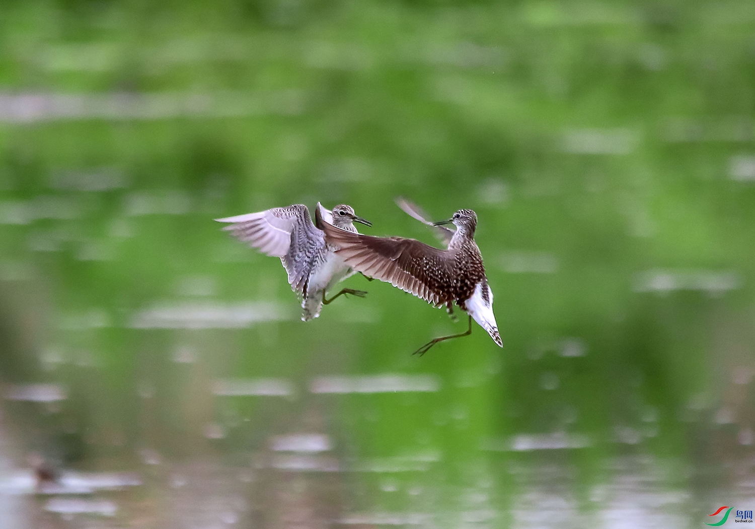 ��2��ͼ�� ����.jpg