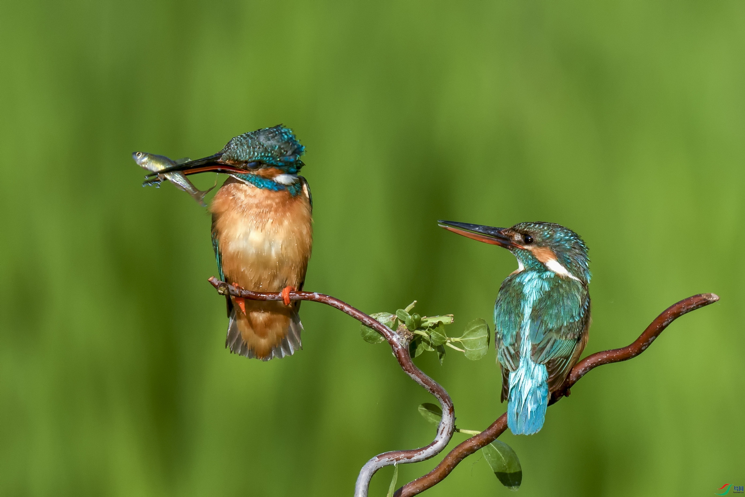 _DSC4877 ����01.jpg