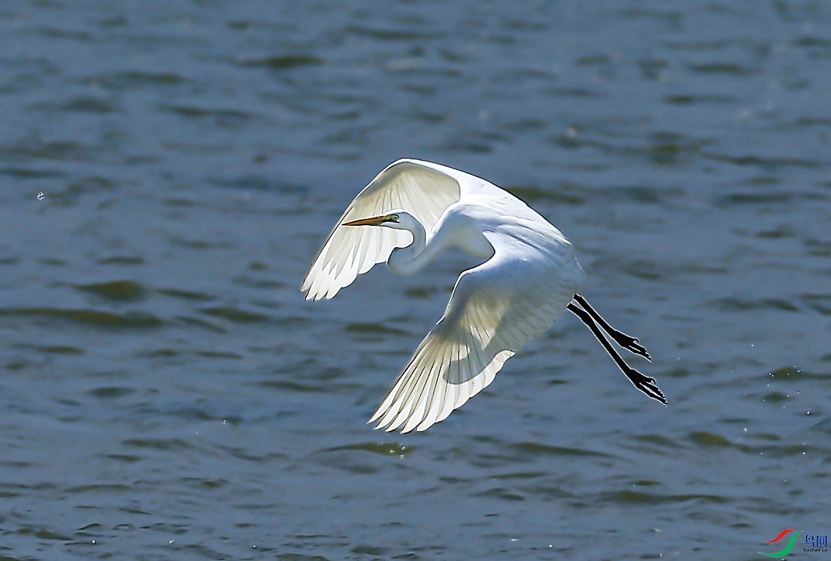 ��ϼ�еĻ������