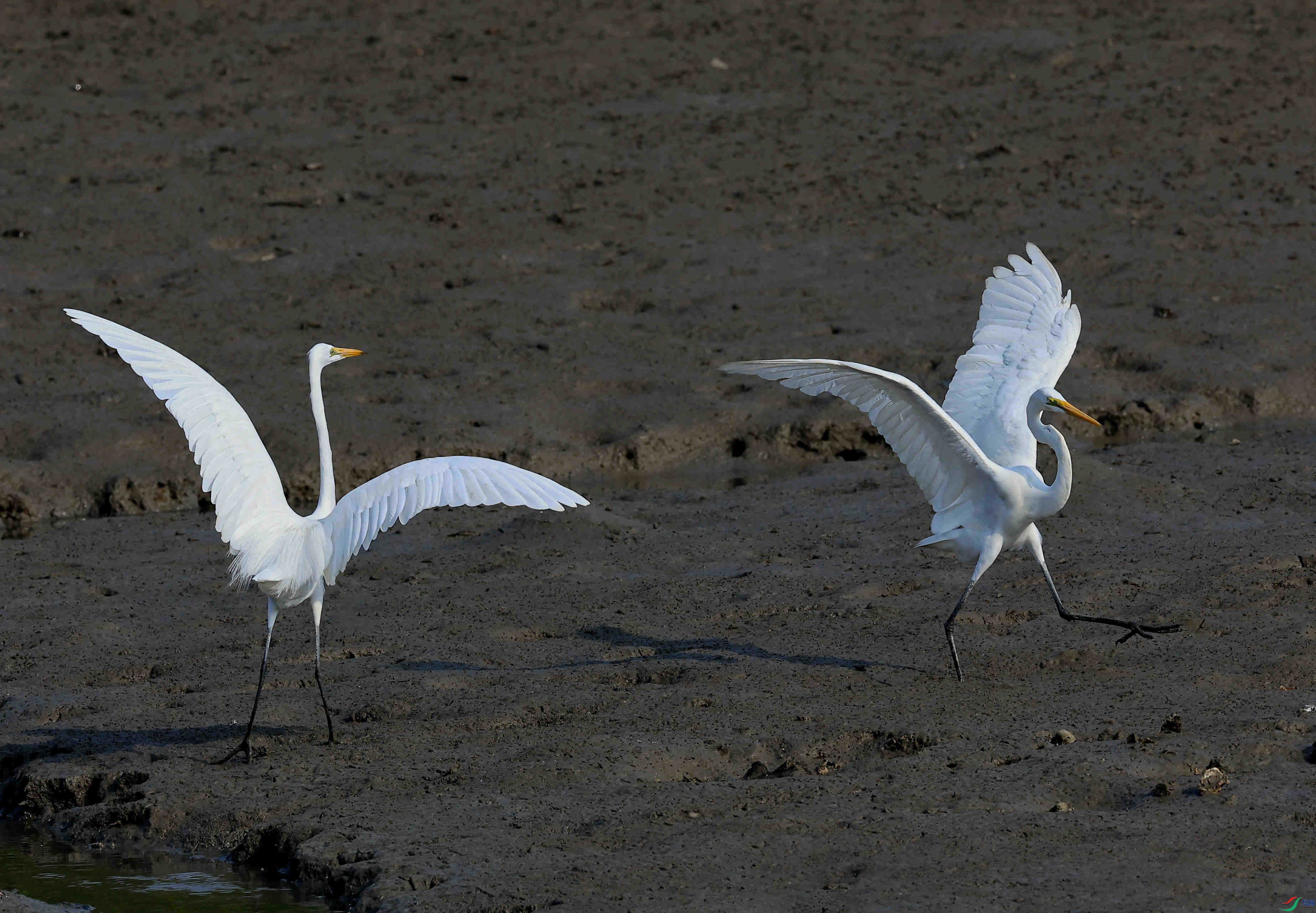 ���ϻ�������