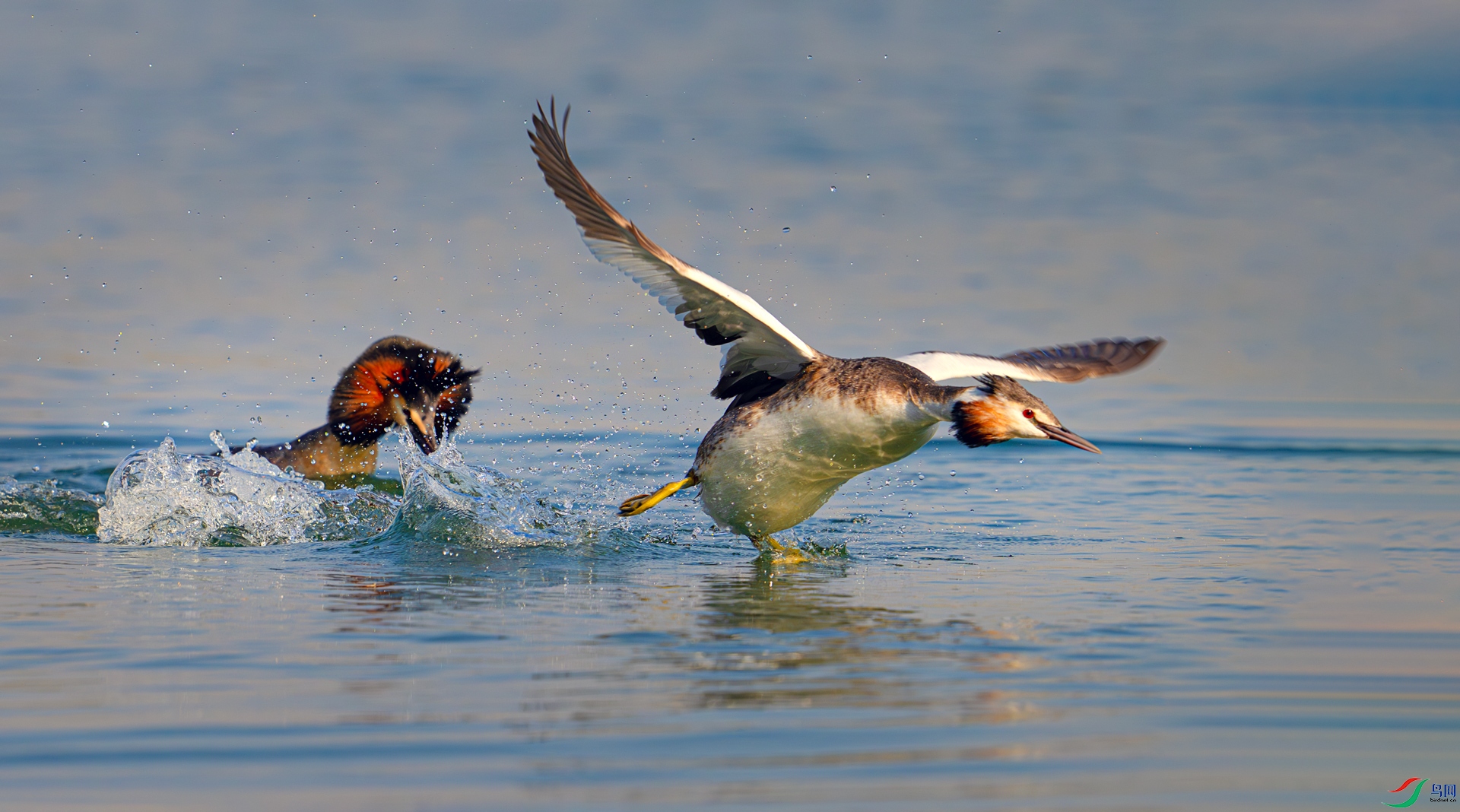 DSC_1078==1w.jpg