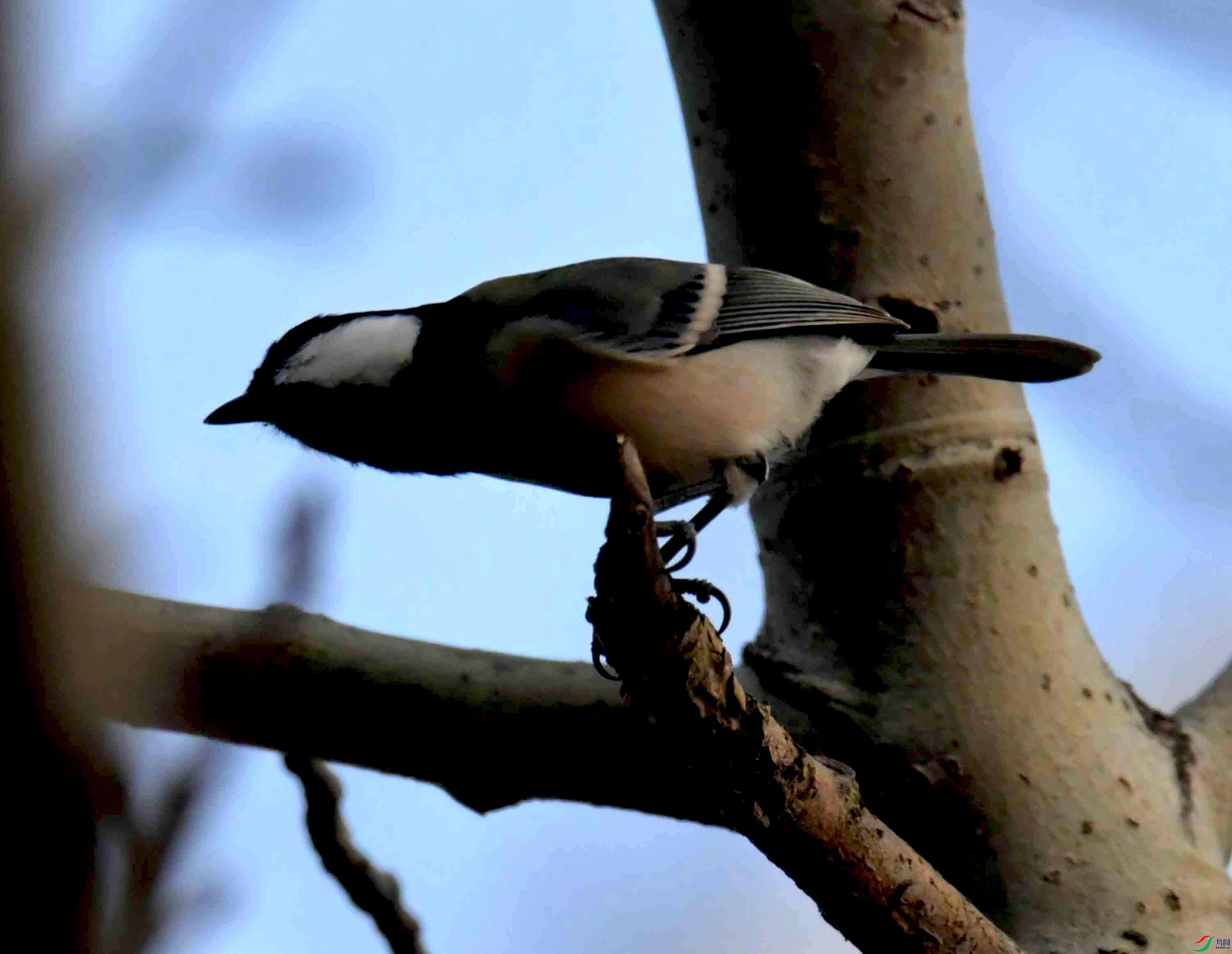 DSC_1725.JPG