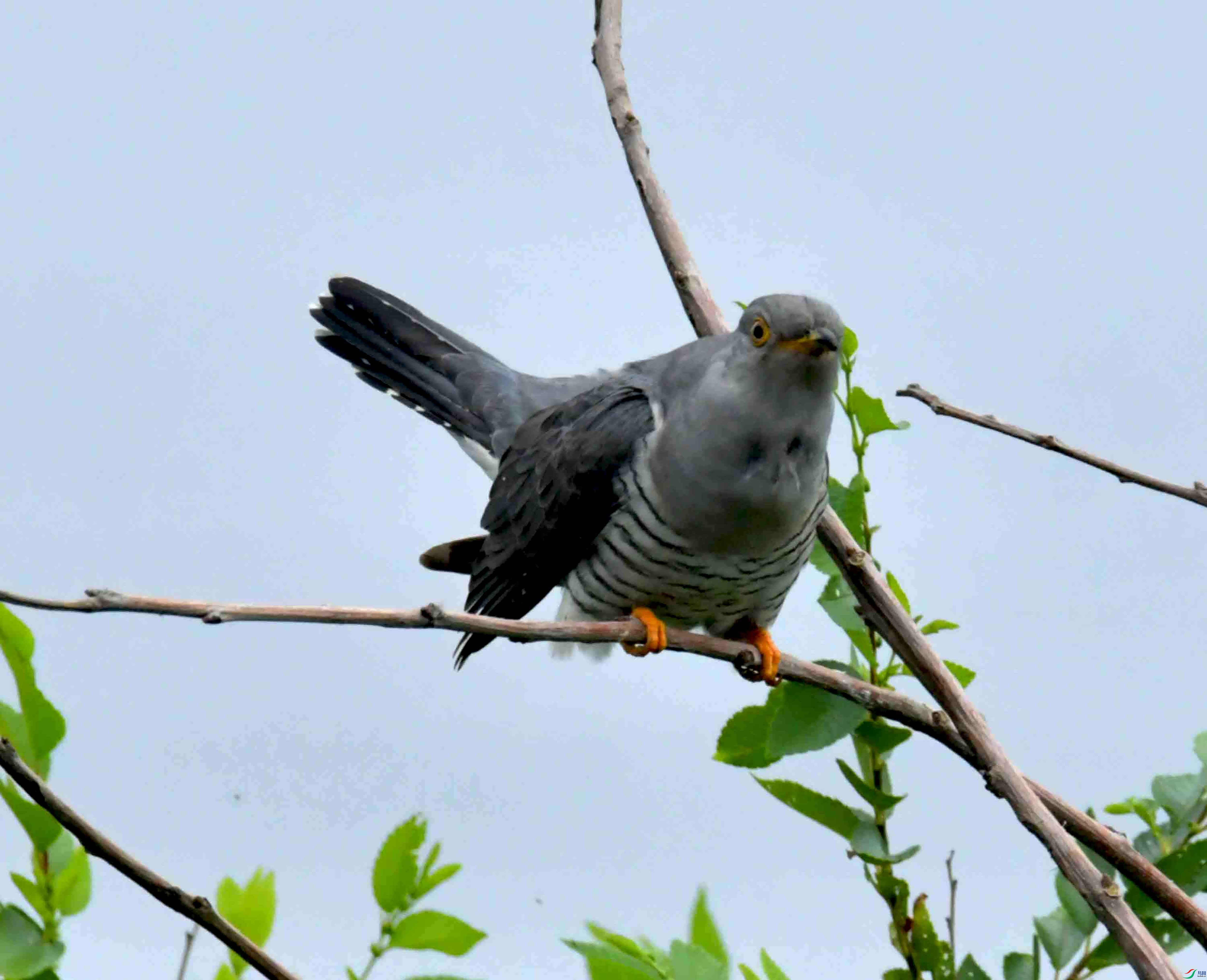 DSC_9462.JPG
