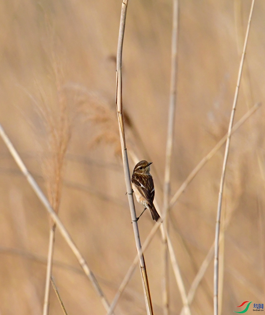 DSC_4840.jpg