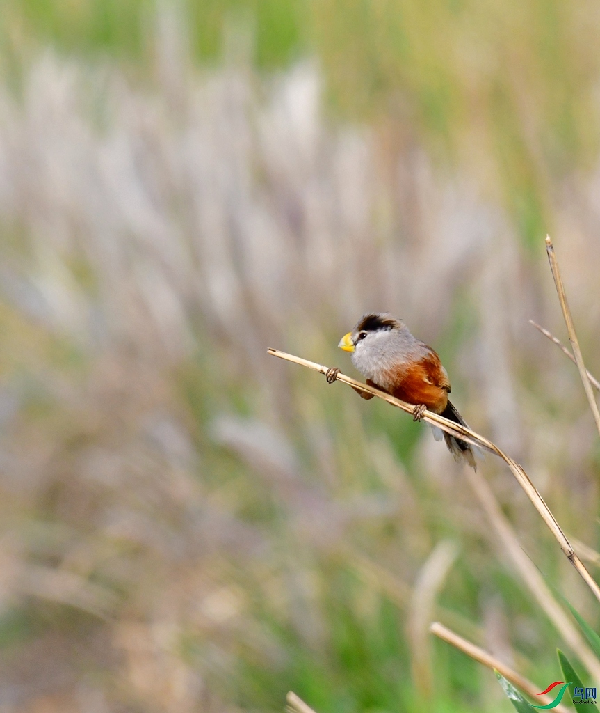 DSC_4829.jpg