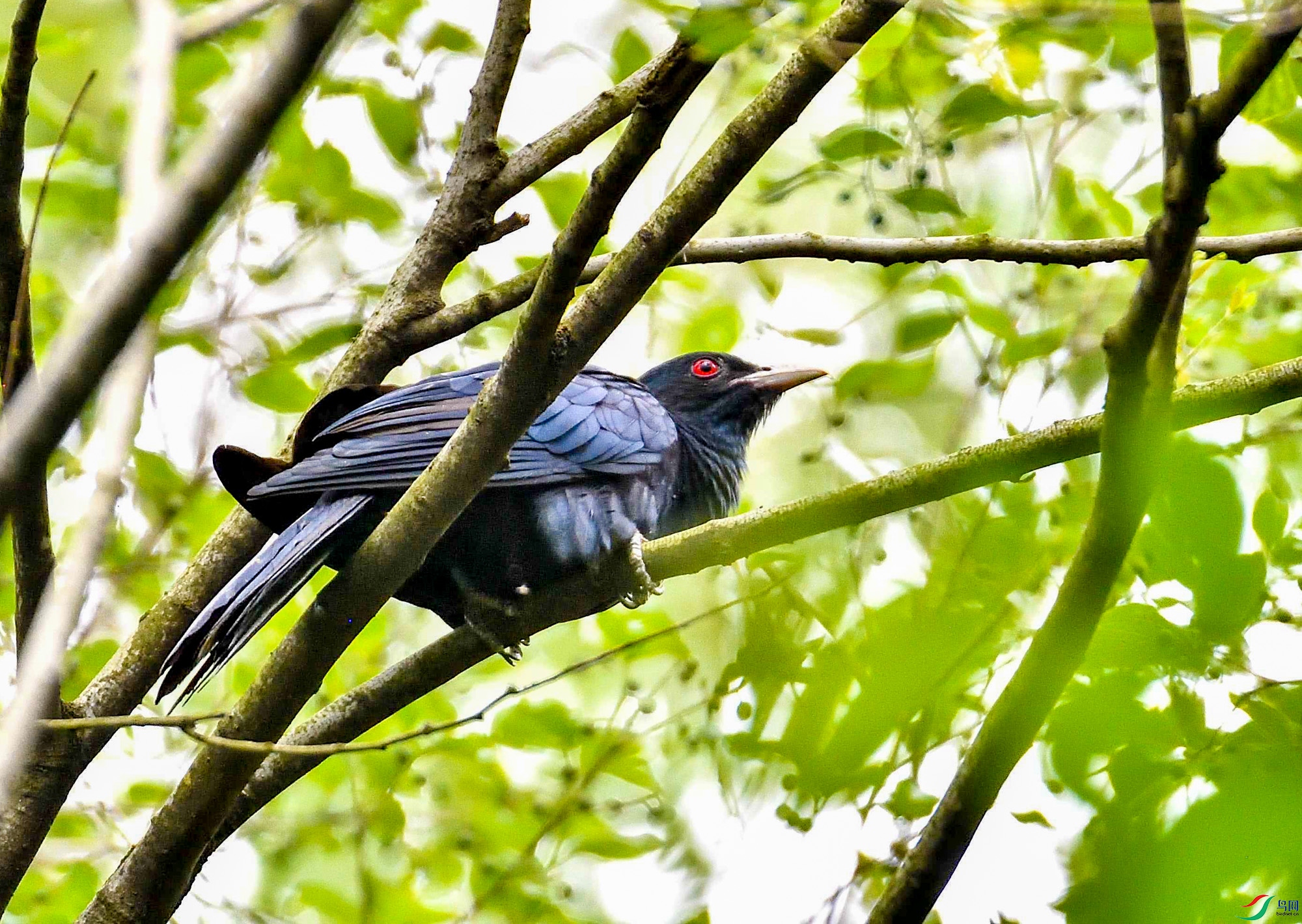 DSC_9057.jpg