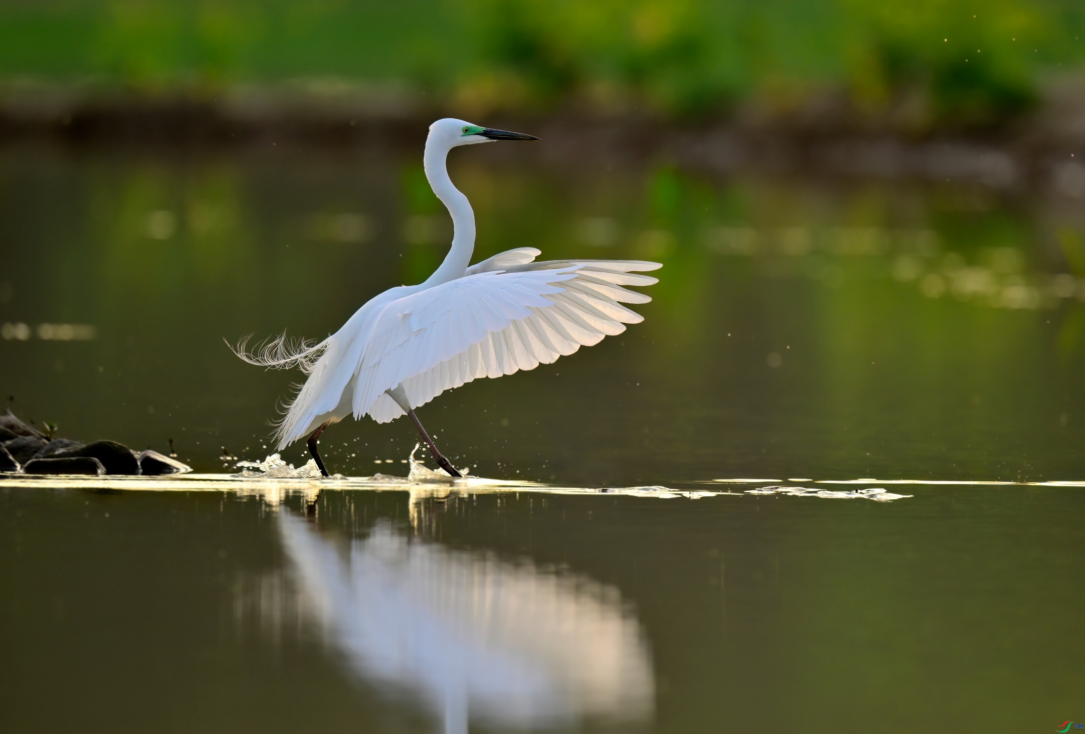_DSC1676x.jpg