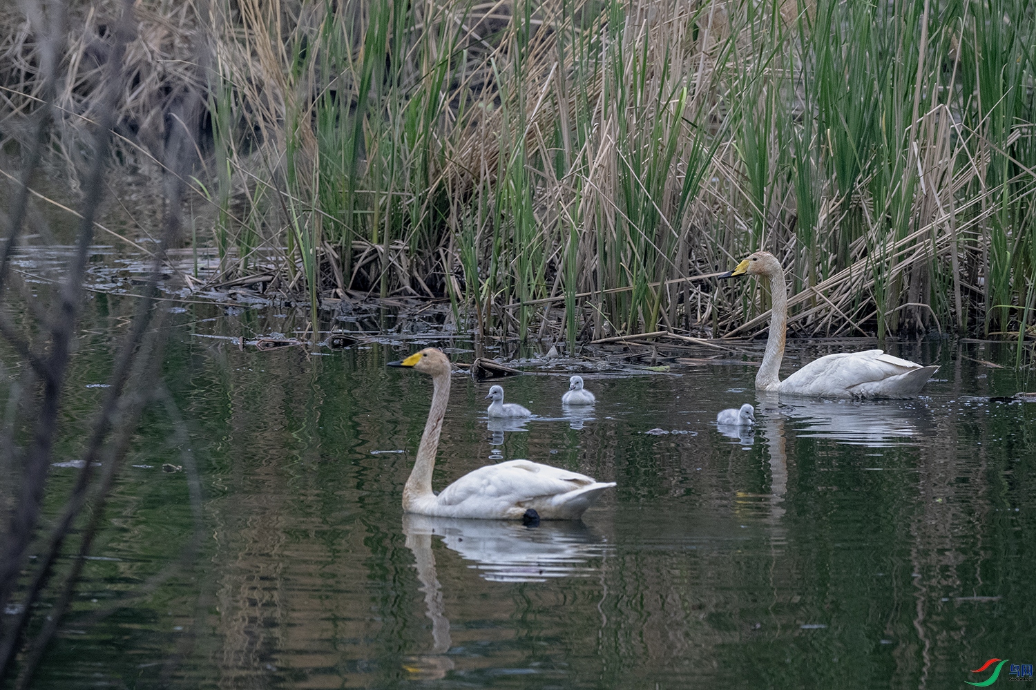 DSC_9169.jpg