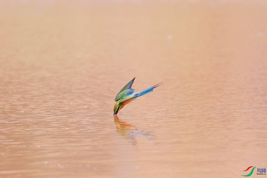 1M6A3677 ����_1.jpg