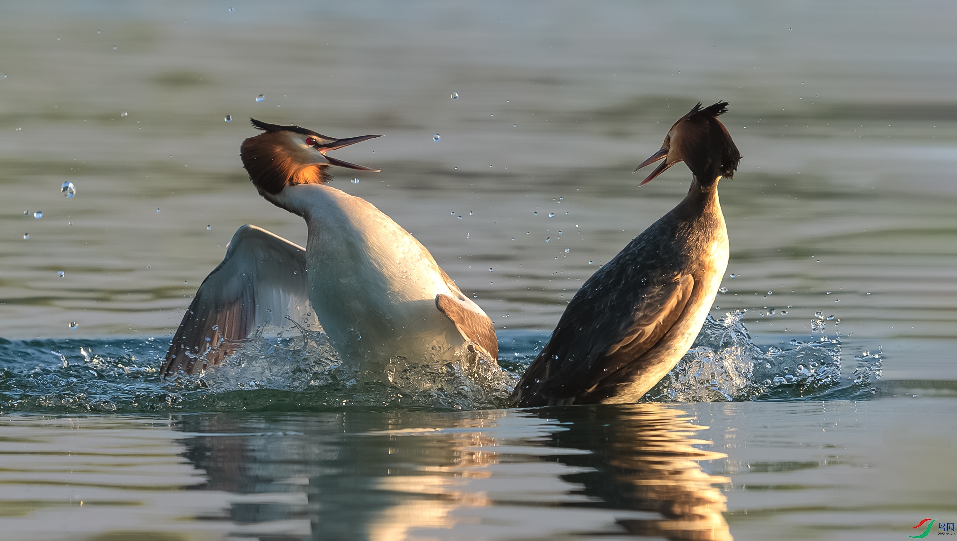 DSC_2493==1w.jpg