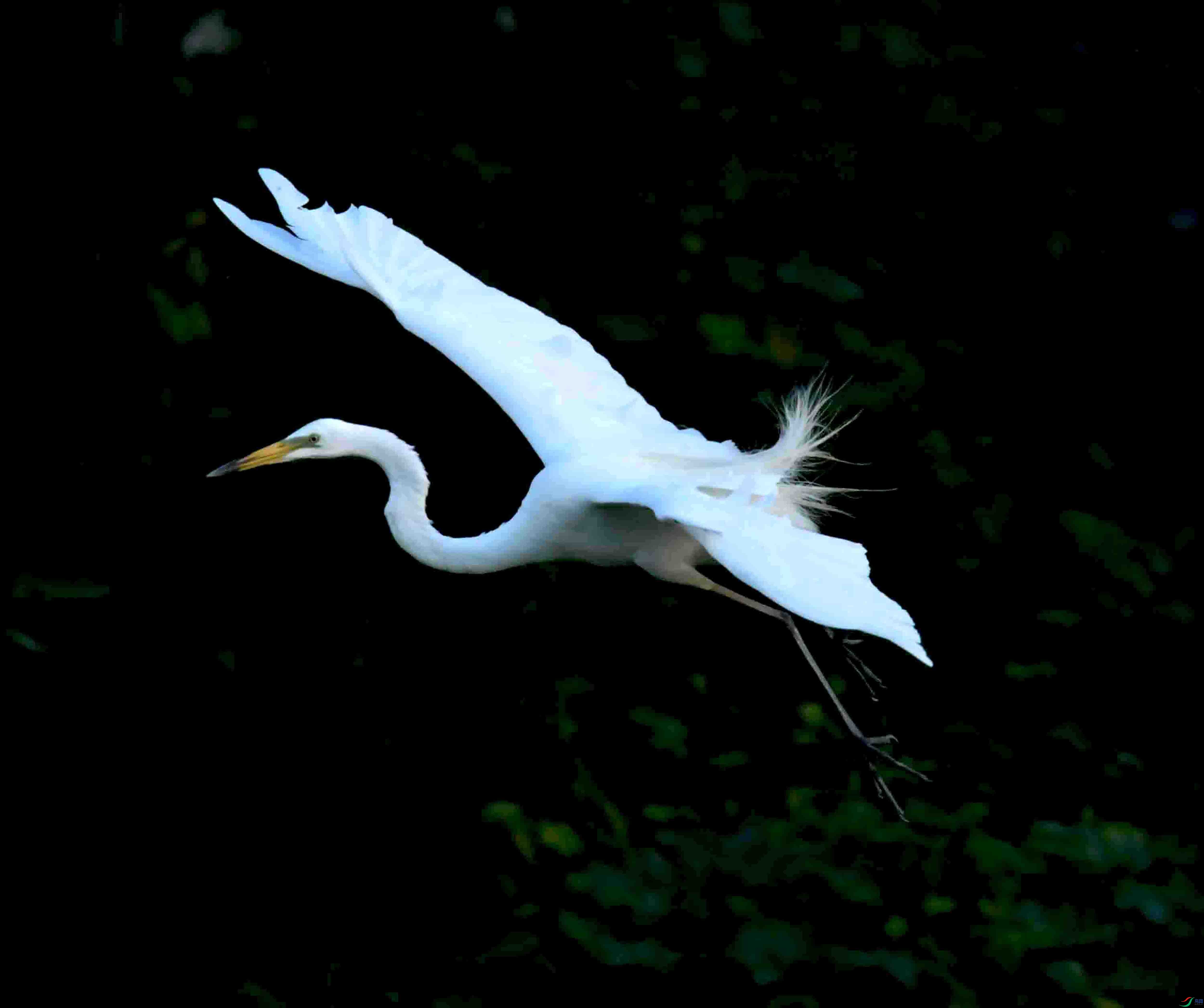 DSC_2631.JPG