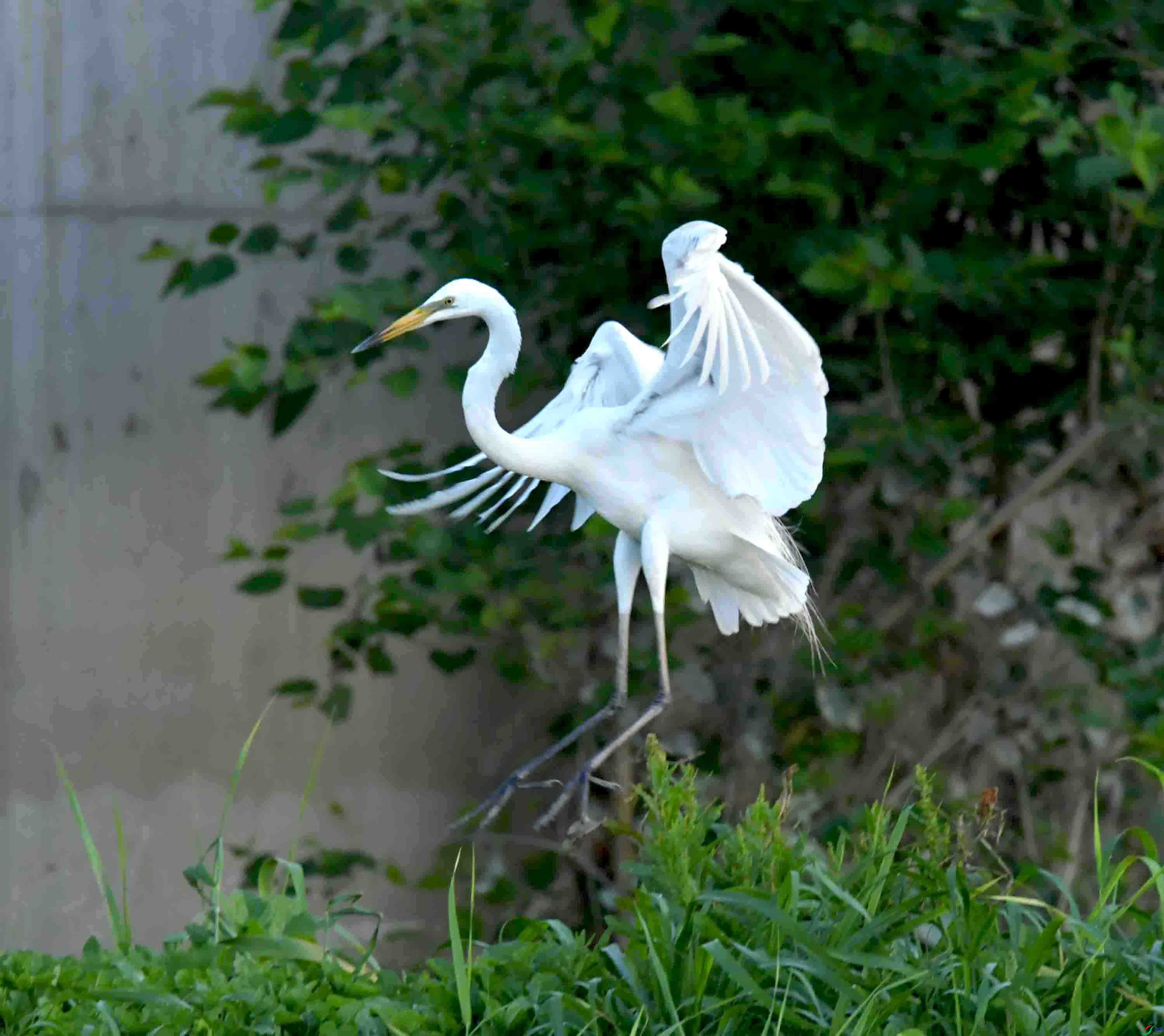 DSC_2633.JPG