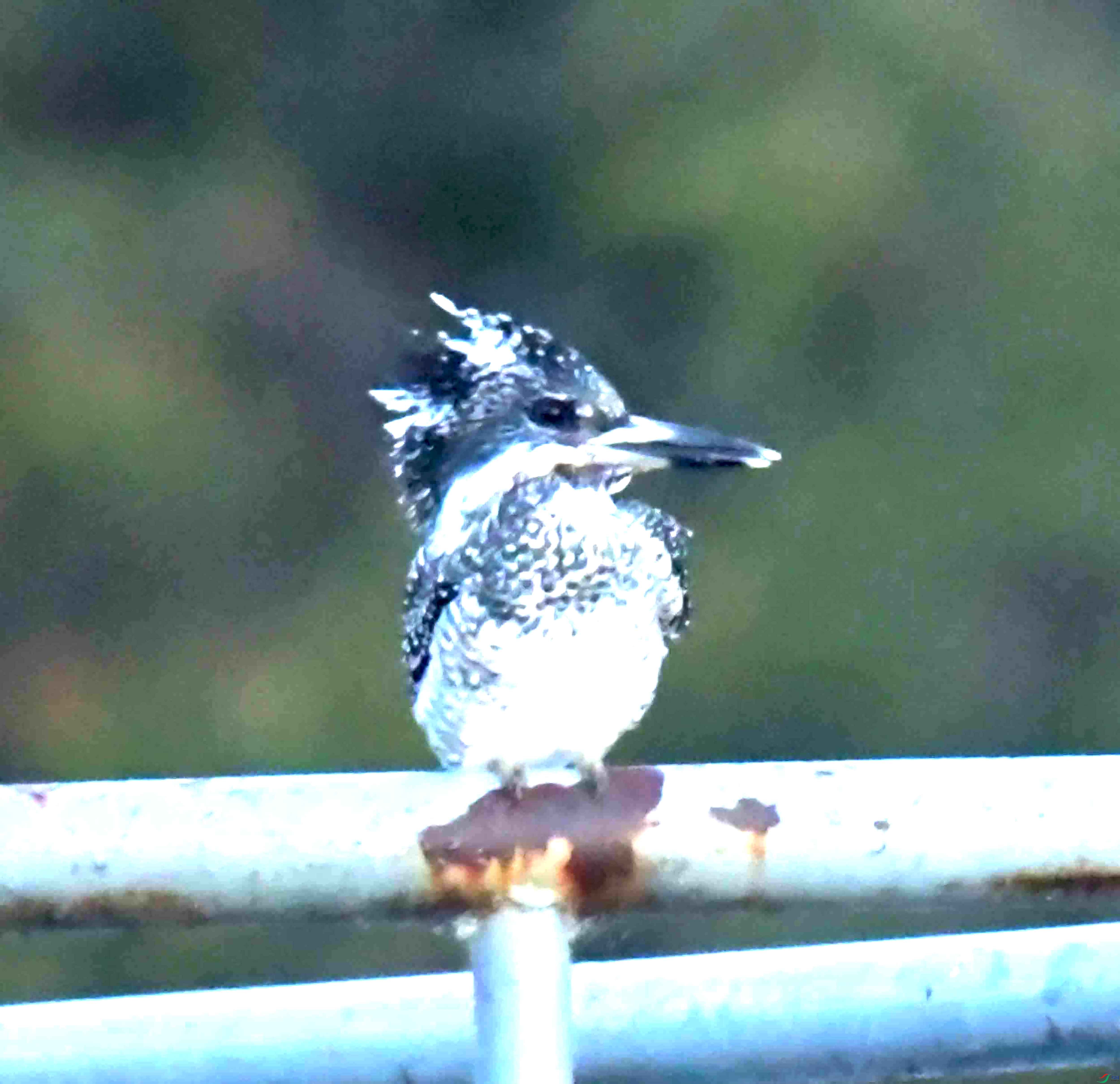 DSC_2166.JPG