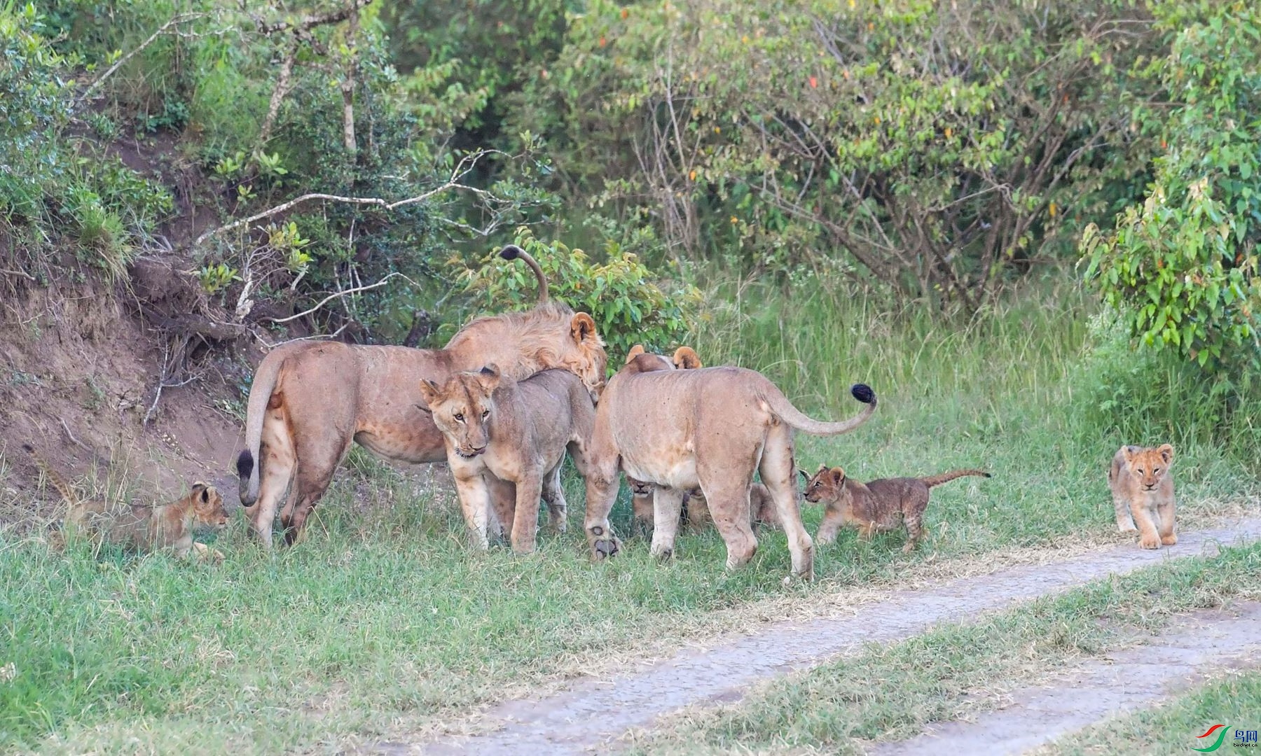 DSC_9110 (2)_����.jpg