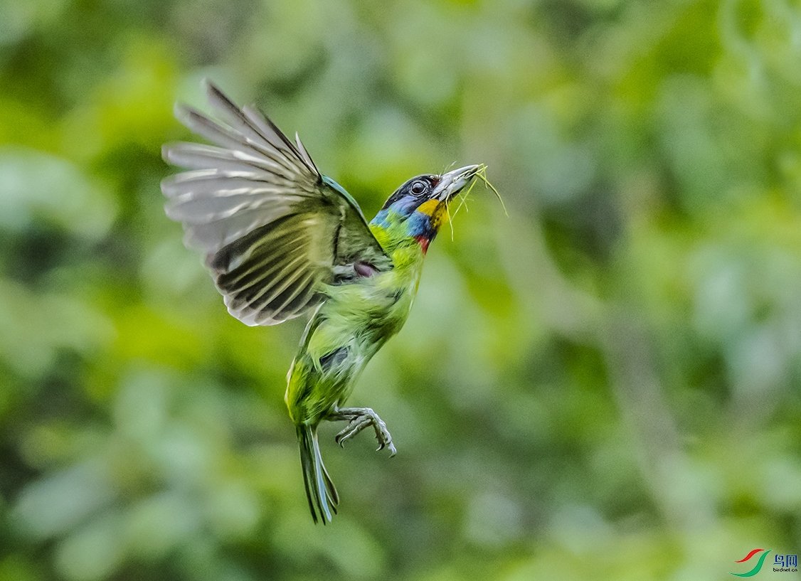 DSC_2801.jpg-.jpg