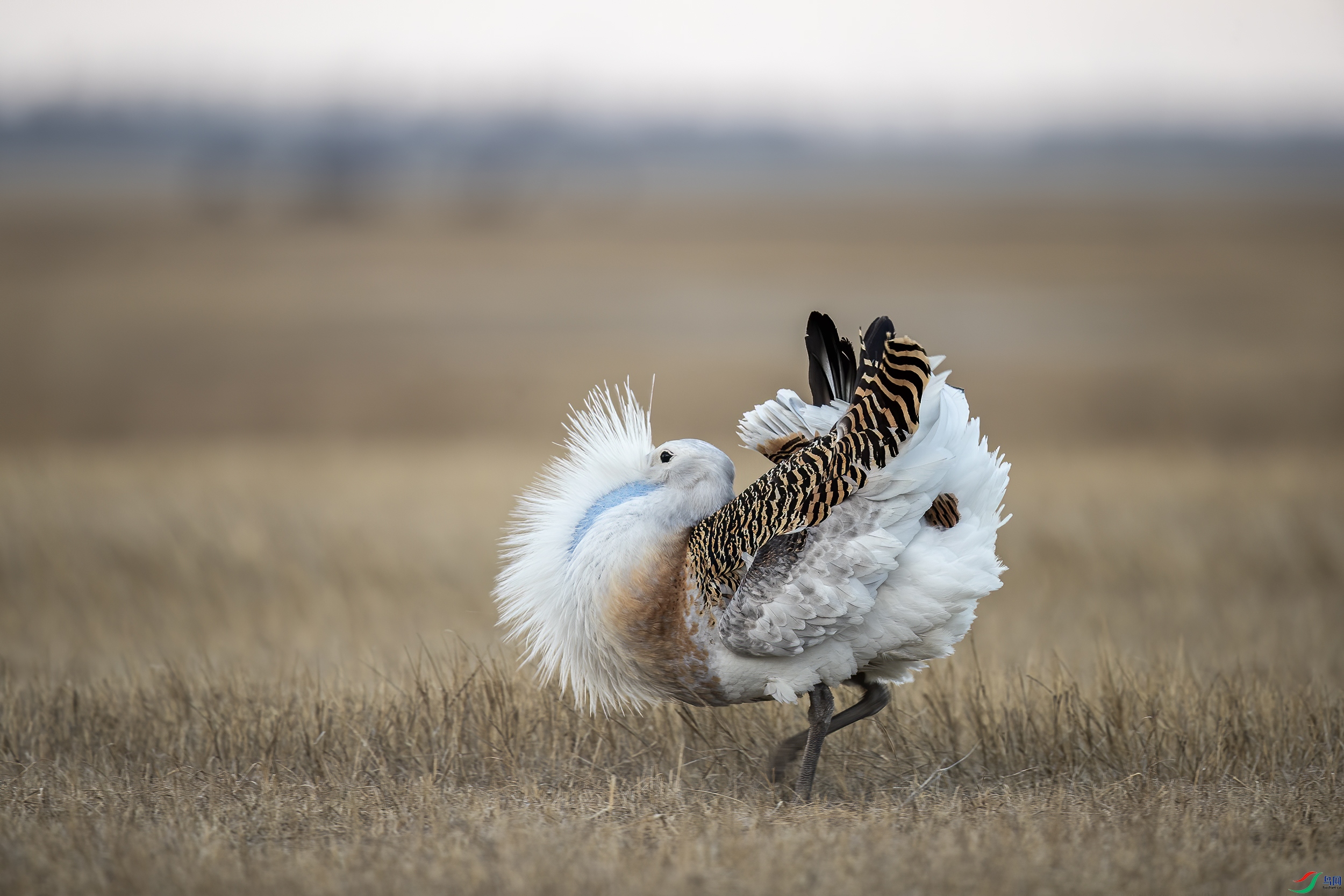 AC3I4514 ����.jpg