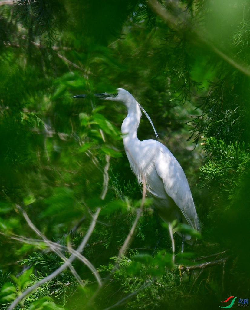 DSC_5111.jpg