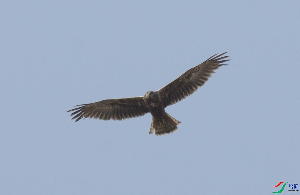CS3U5538.jpg