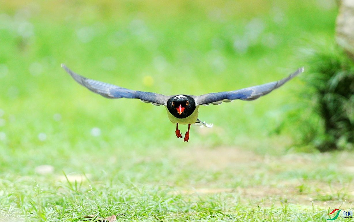 AN7I9489_����.jpg