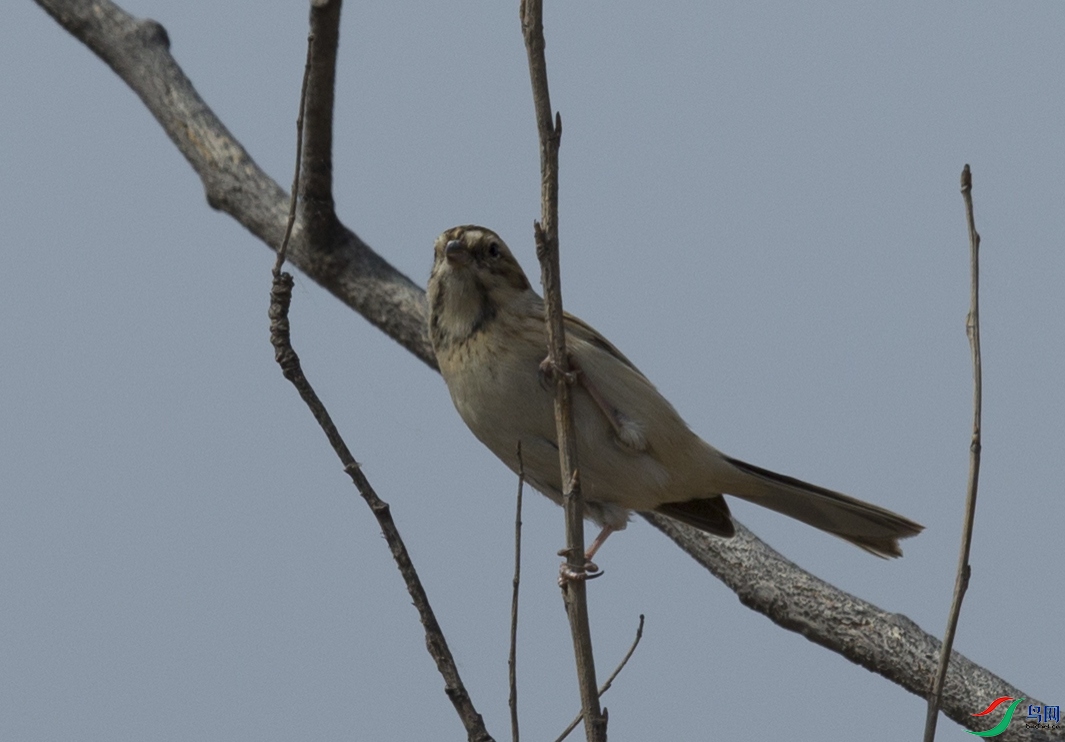 CS3U5977.jpg