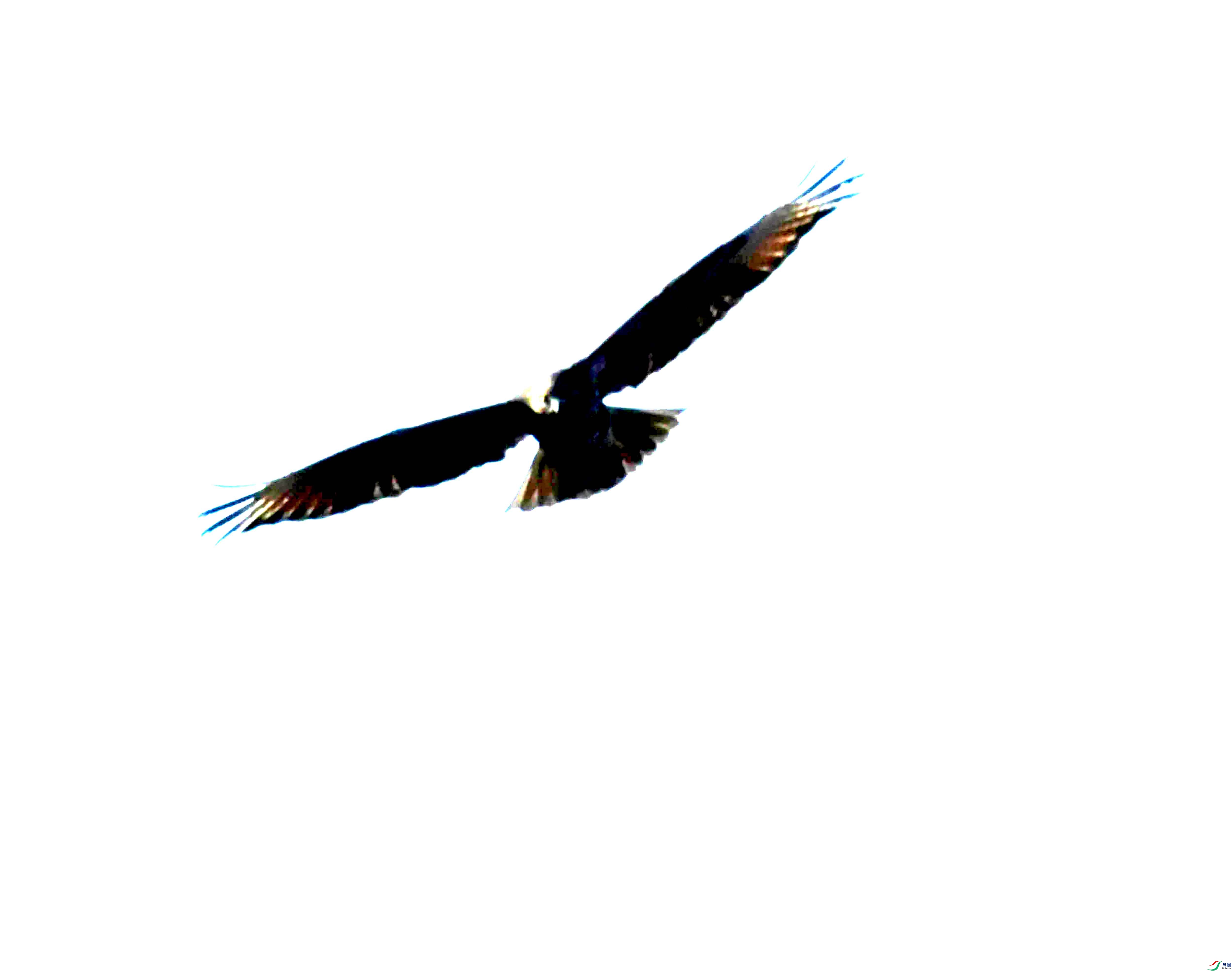DSC_0796.JPG