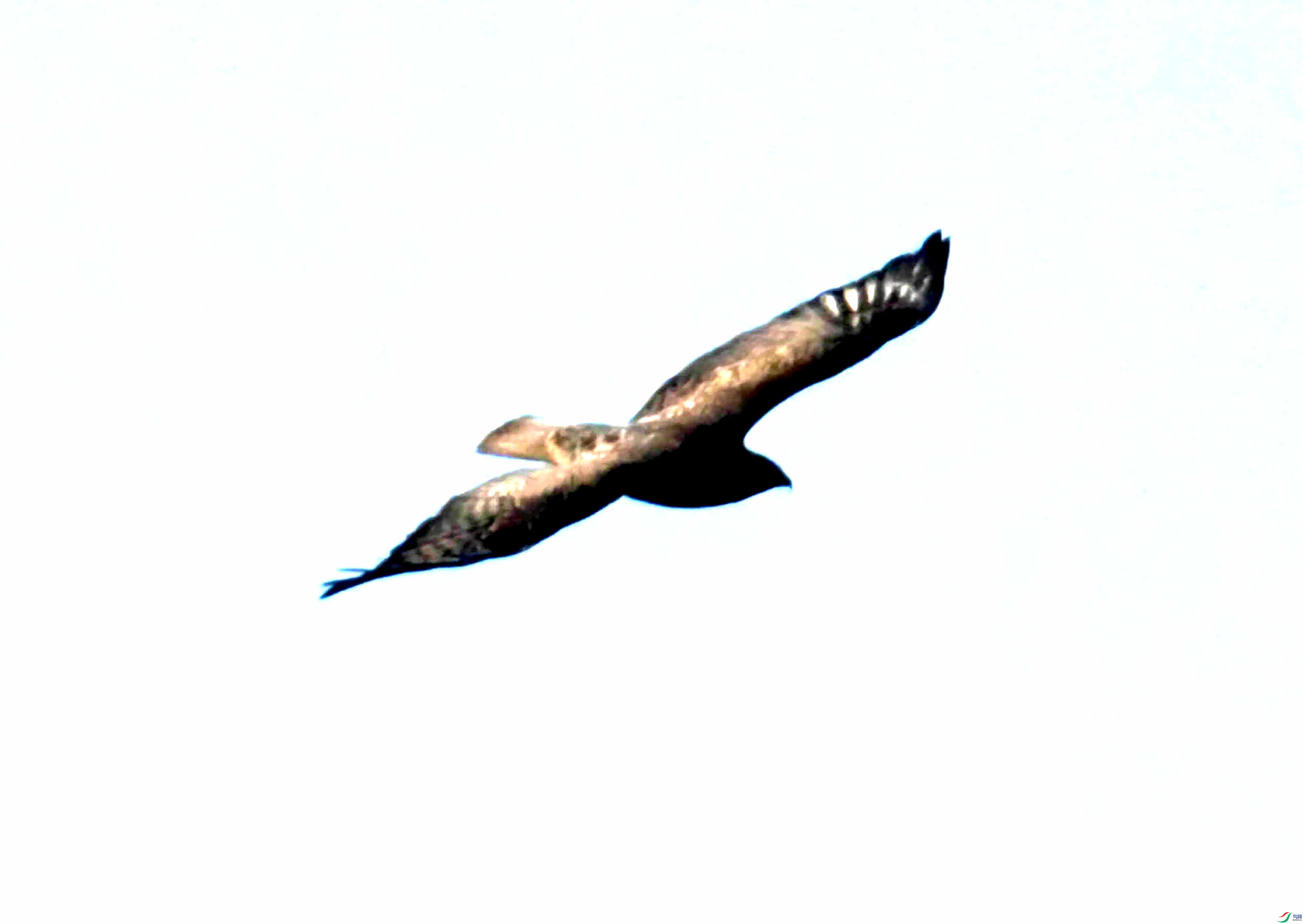 DSC_0835.JPG