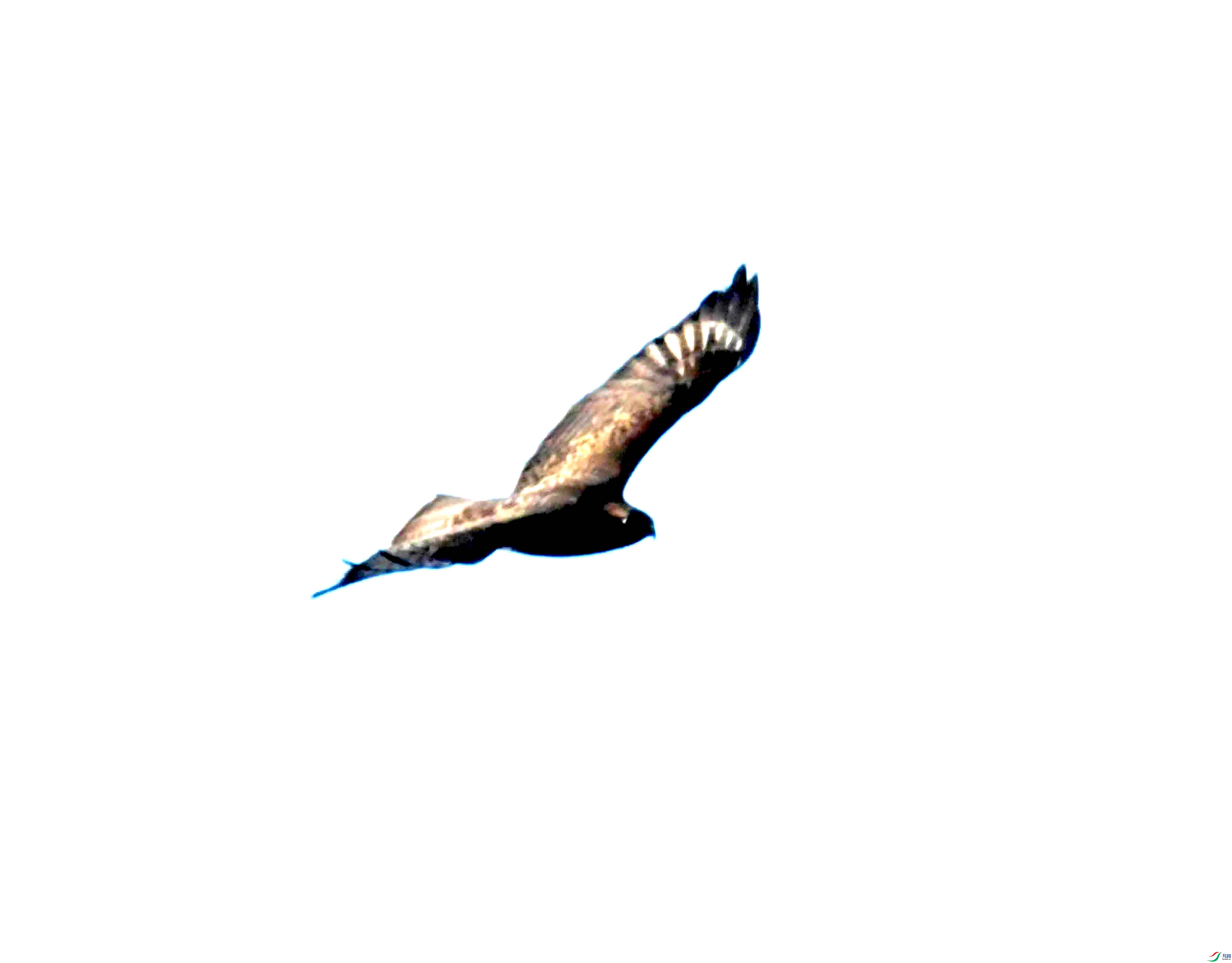 DSC_0849.JPG