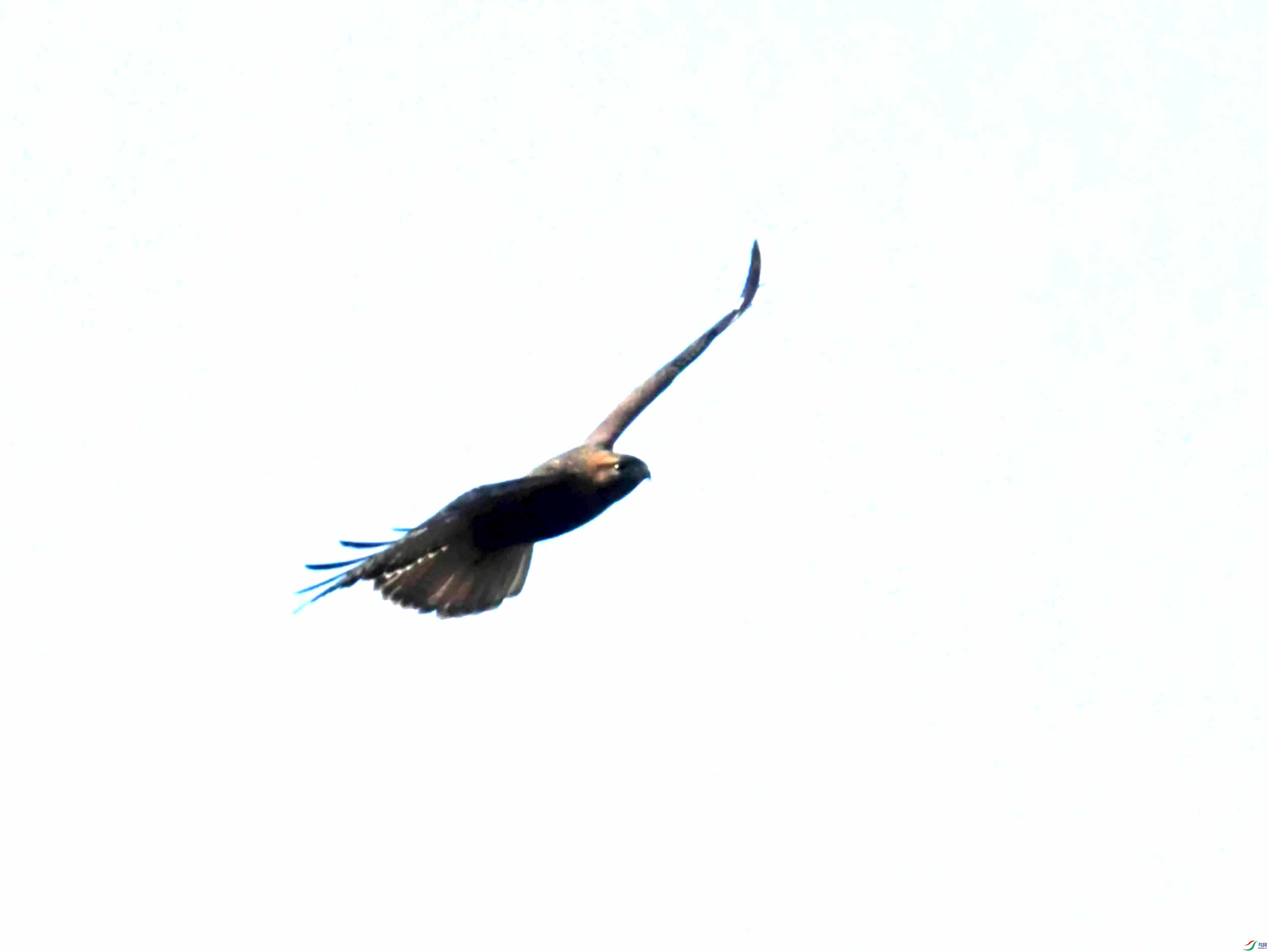 DSC_0878.JPG