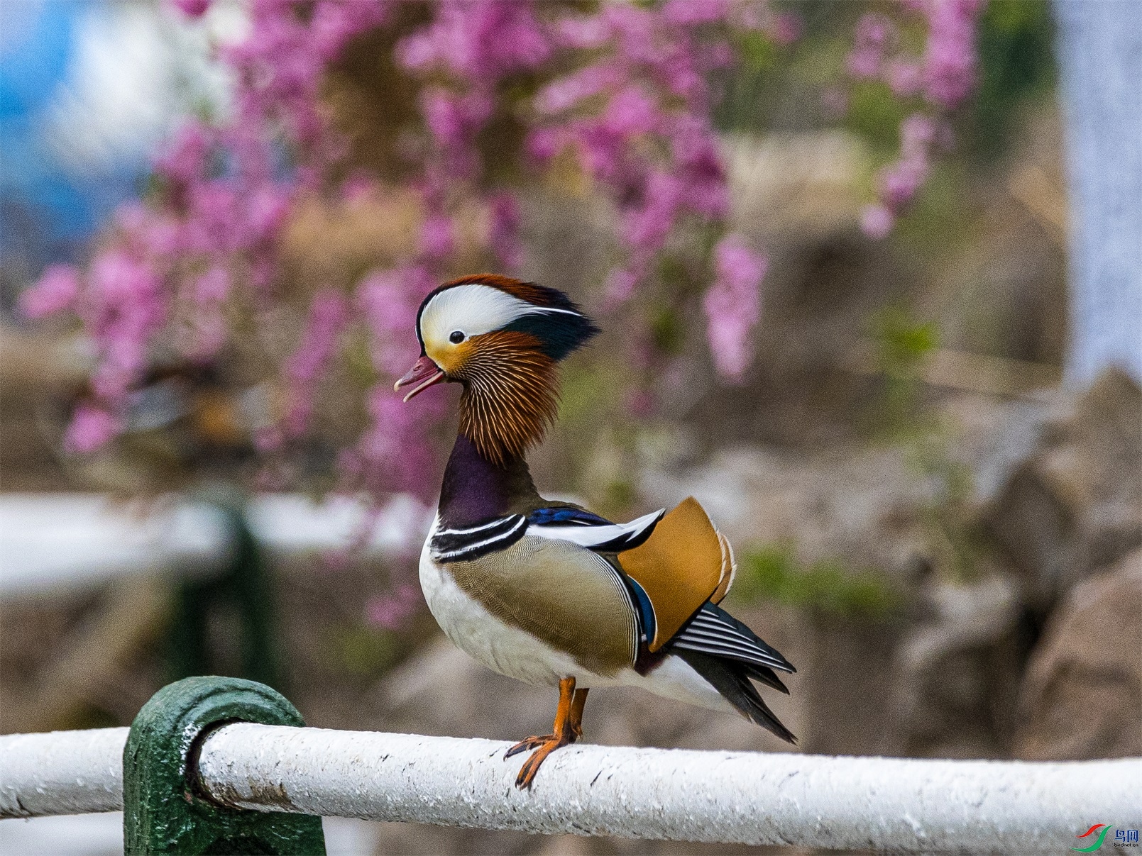 1K3A3560 ����1.jpg