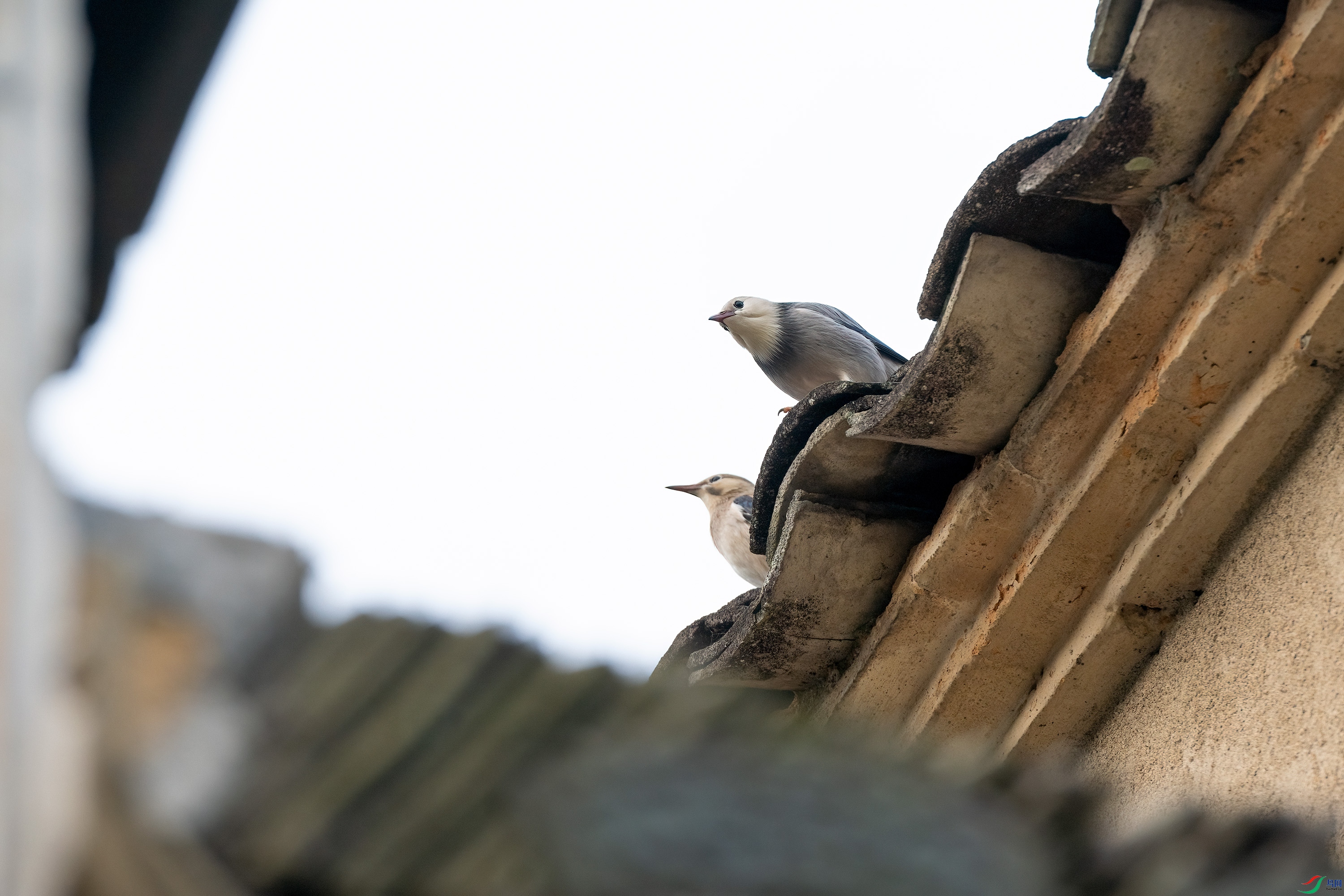 DSC_6801.jpg