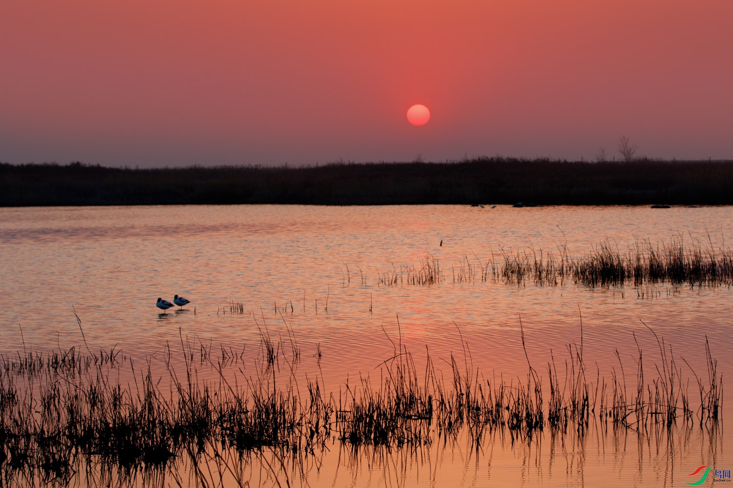 1N5A7076 ����.jpg