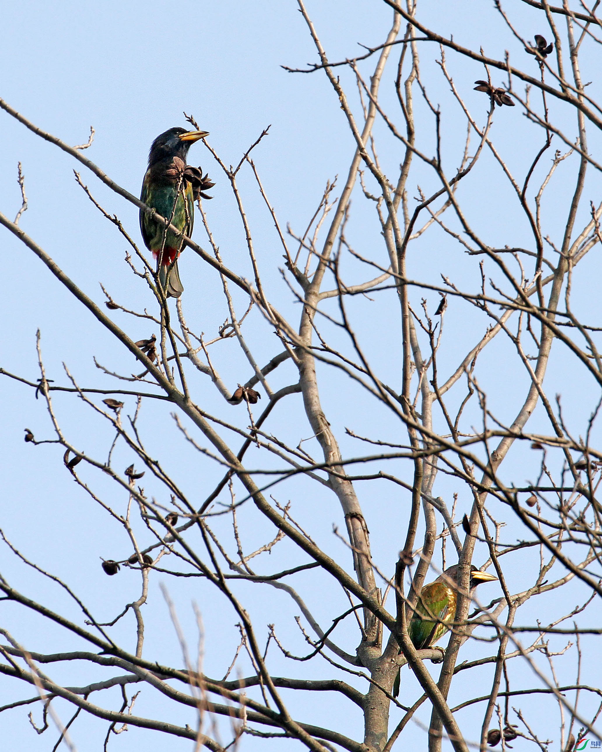 IMG_6766.JPG