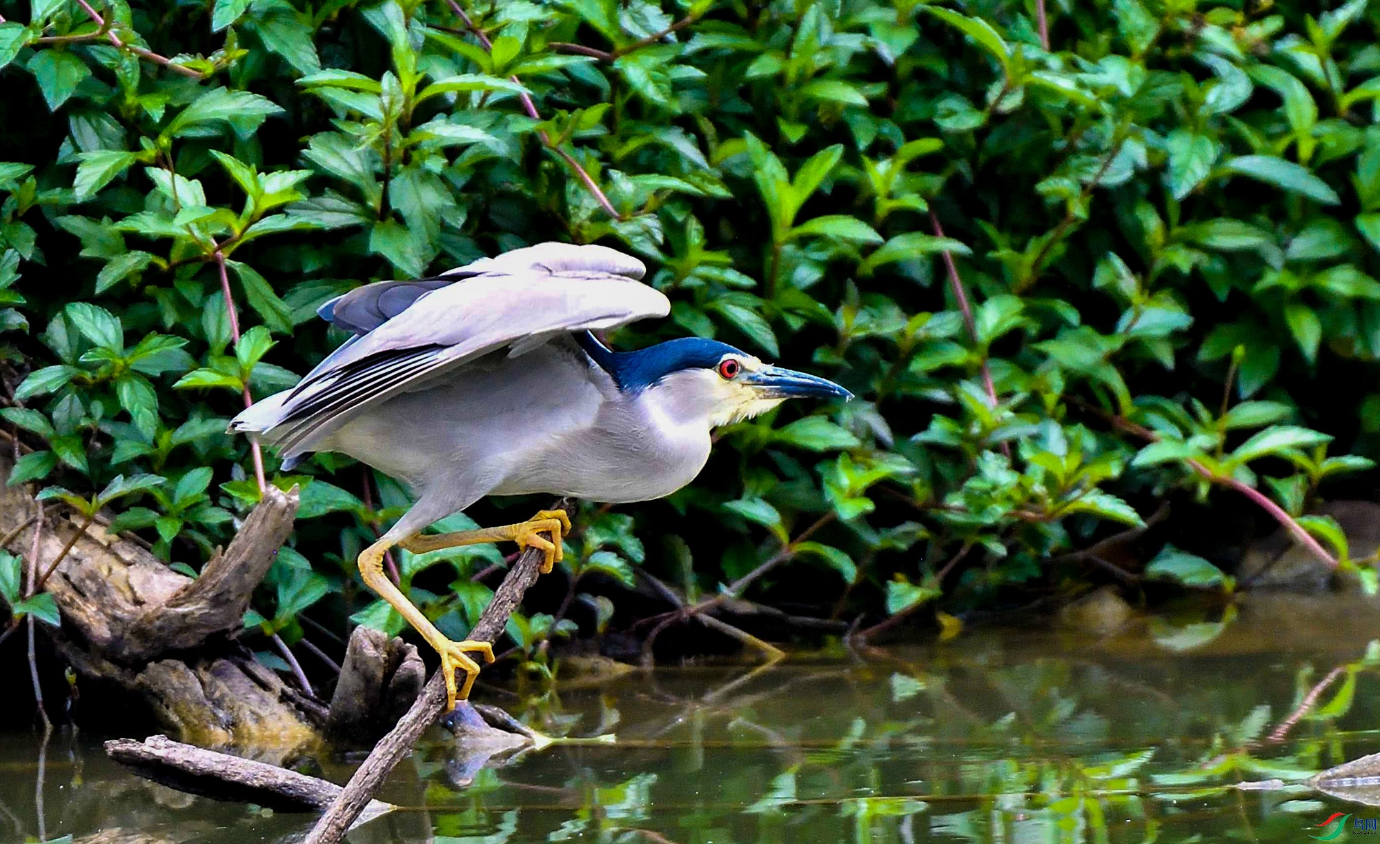 DSC_9389.jpg