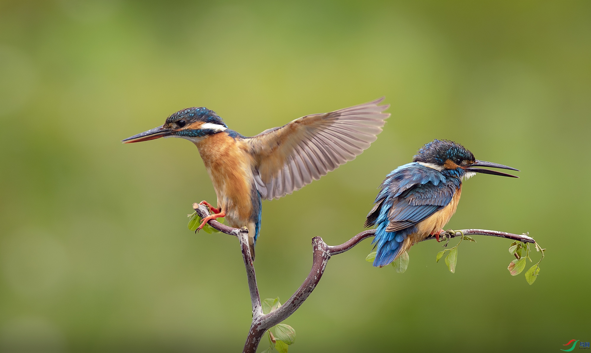 055A0334-����ǿ-NR ����.jpg