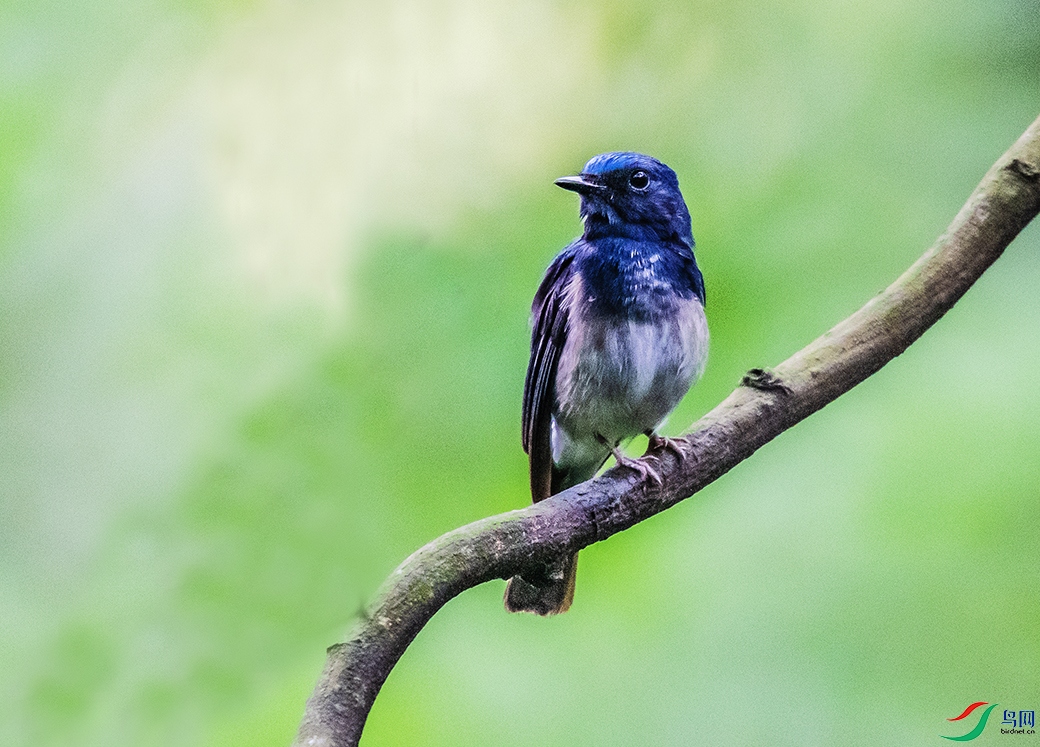 DSC_4329.jpg