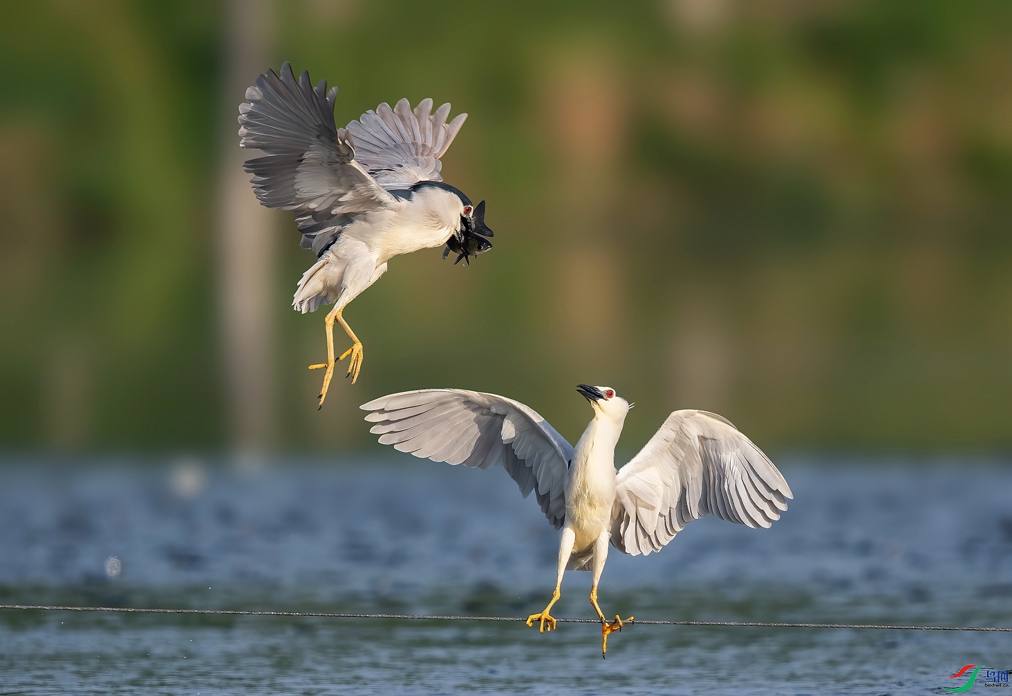 DSC_5099 ����_����.jpg