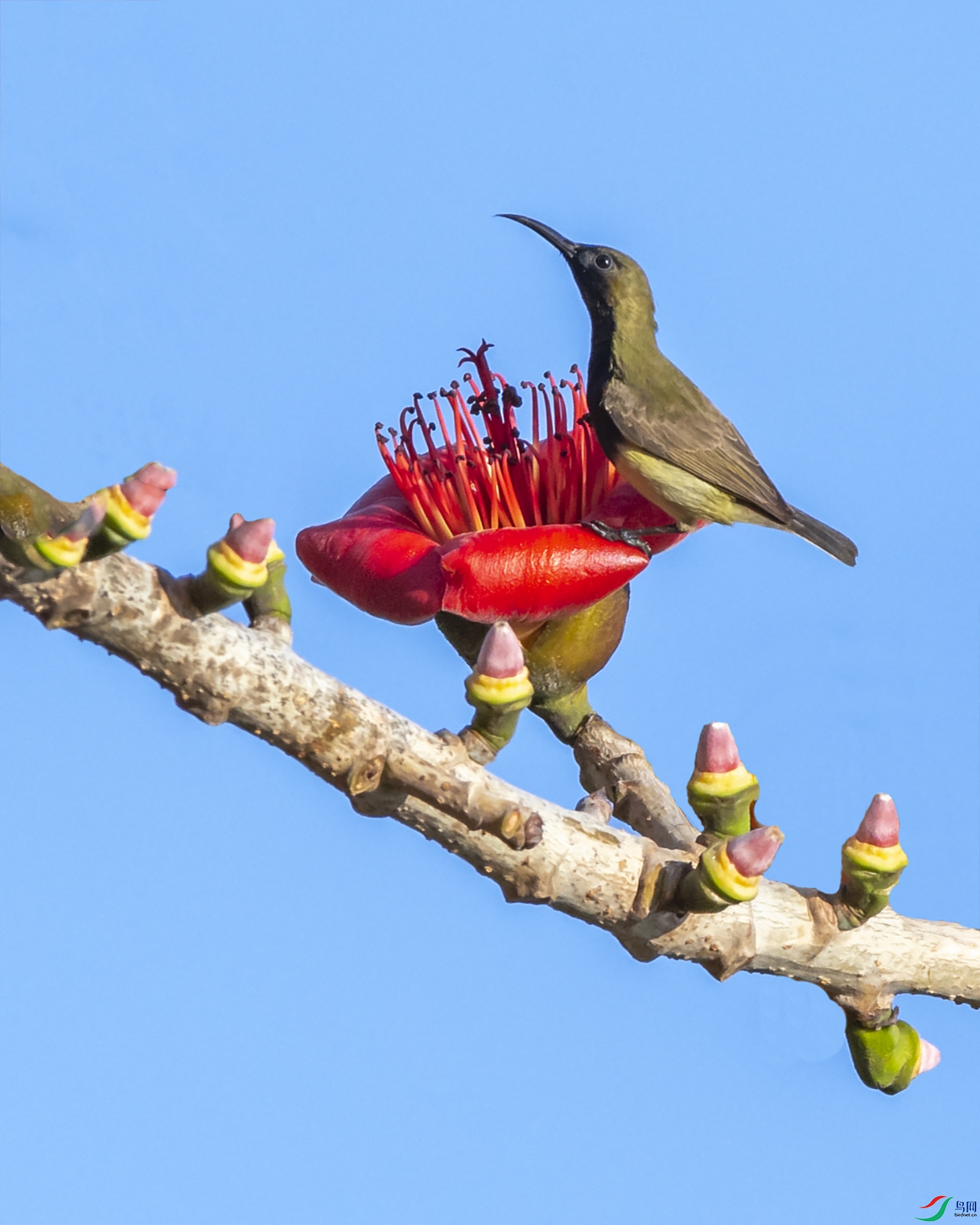 2576 ����.jpg