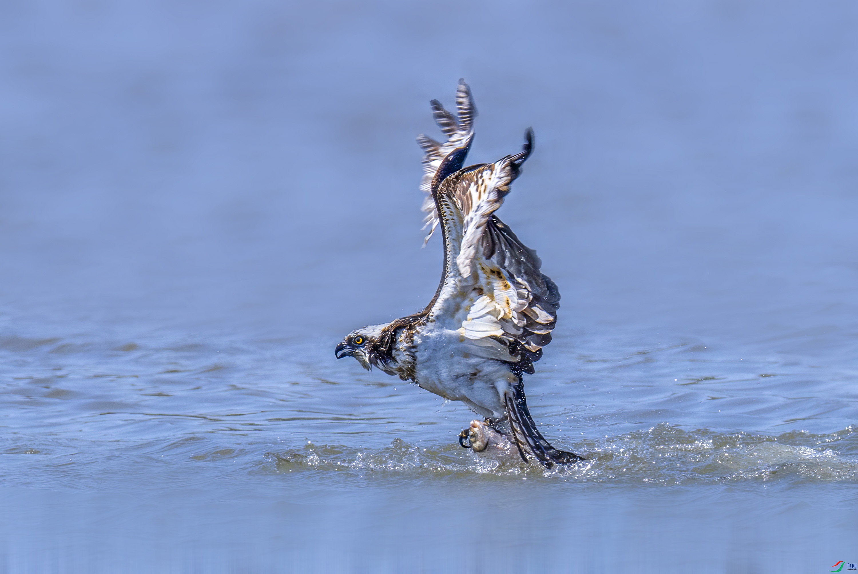 _JLN4472OK ����.jpg