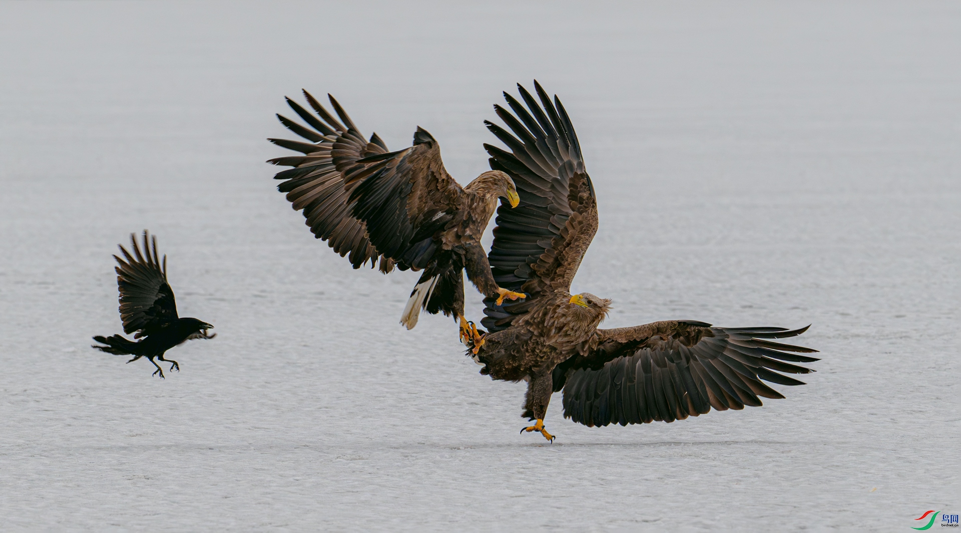 DSC_3886==1w.jpg