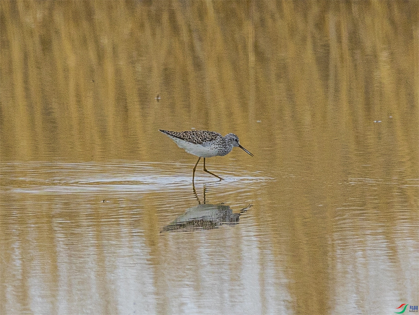 1K3A8981 ����1.jpg