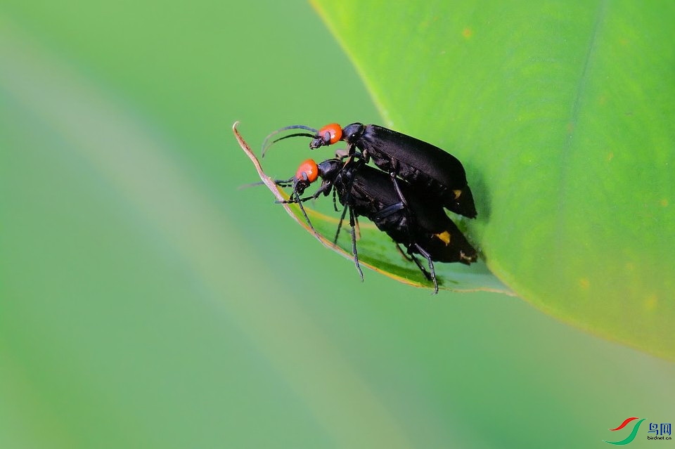 DSC_3323.JPG