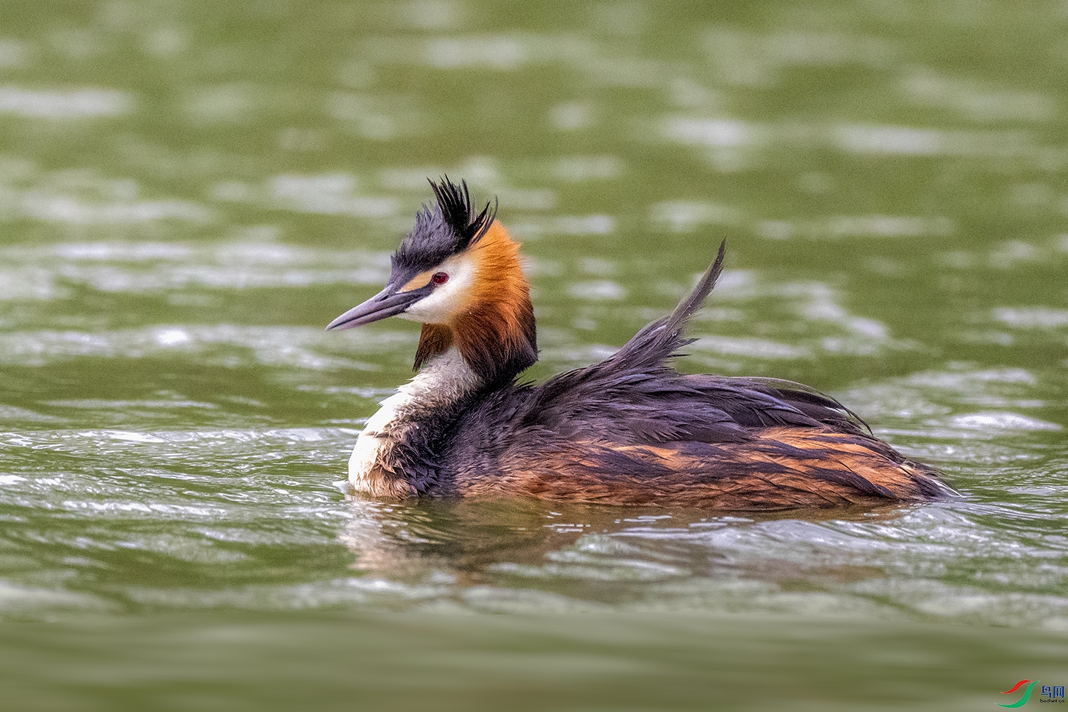 DSC_0630.jpg