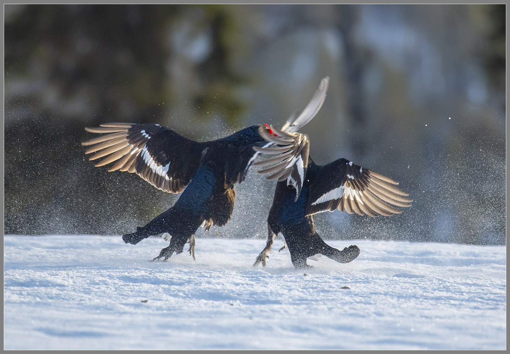 ��DSC_3426.jpg