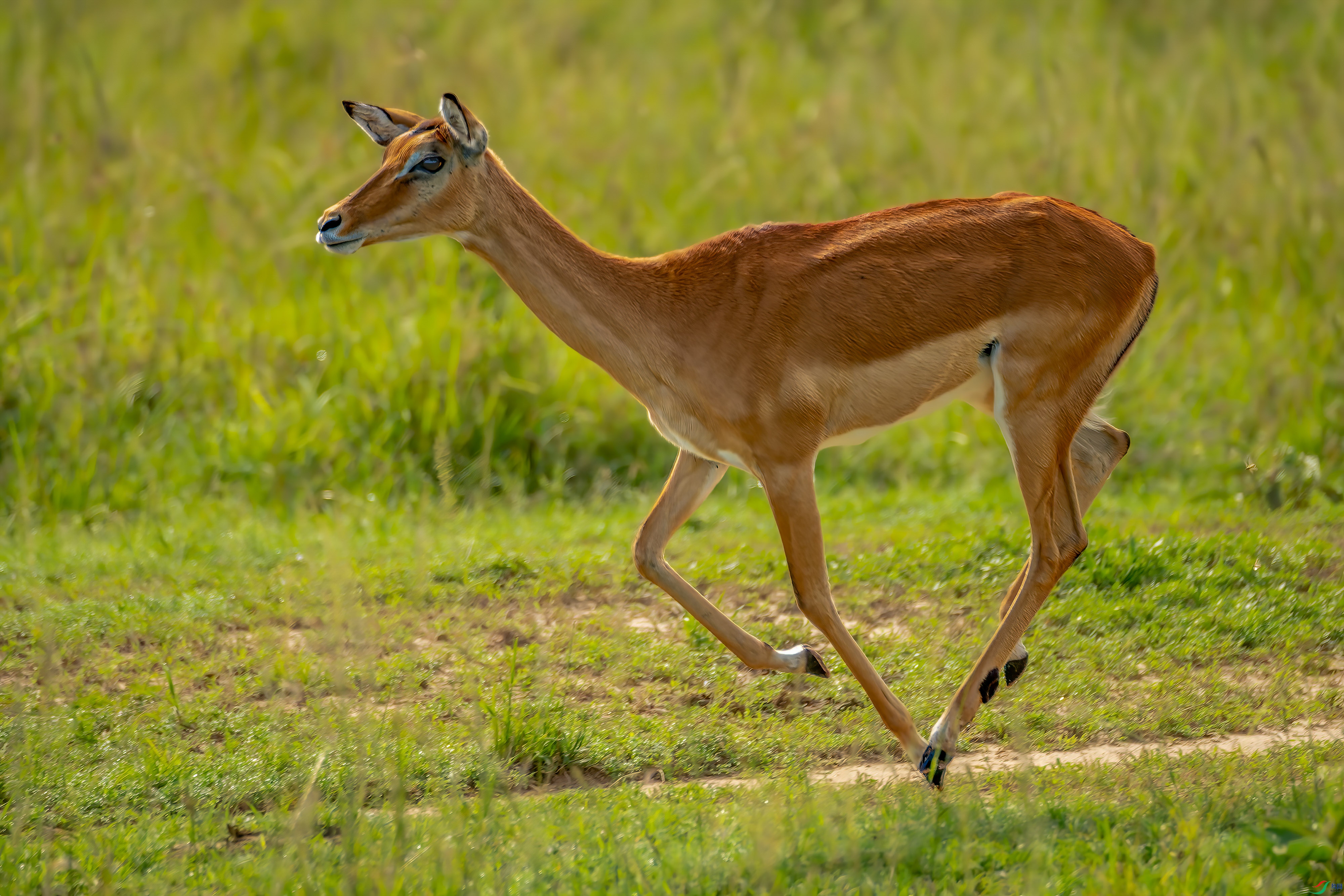 DSC_4972_1.jpg