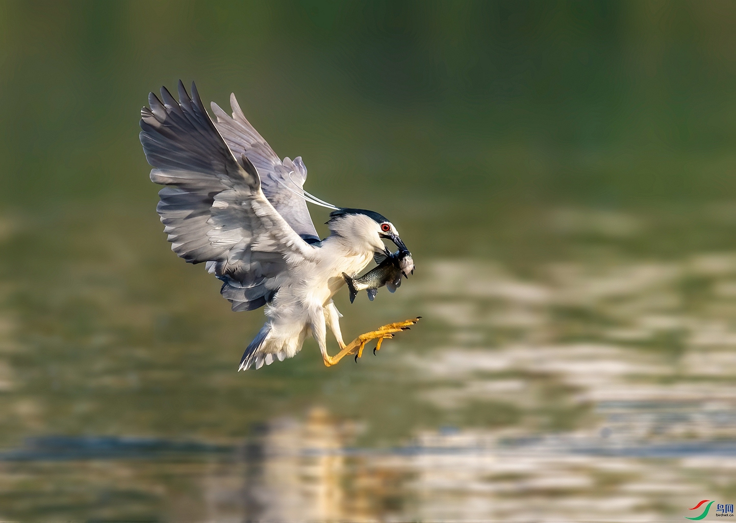 DSC_5191 ����_����.jpg