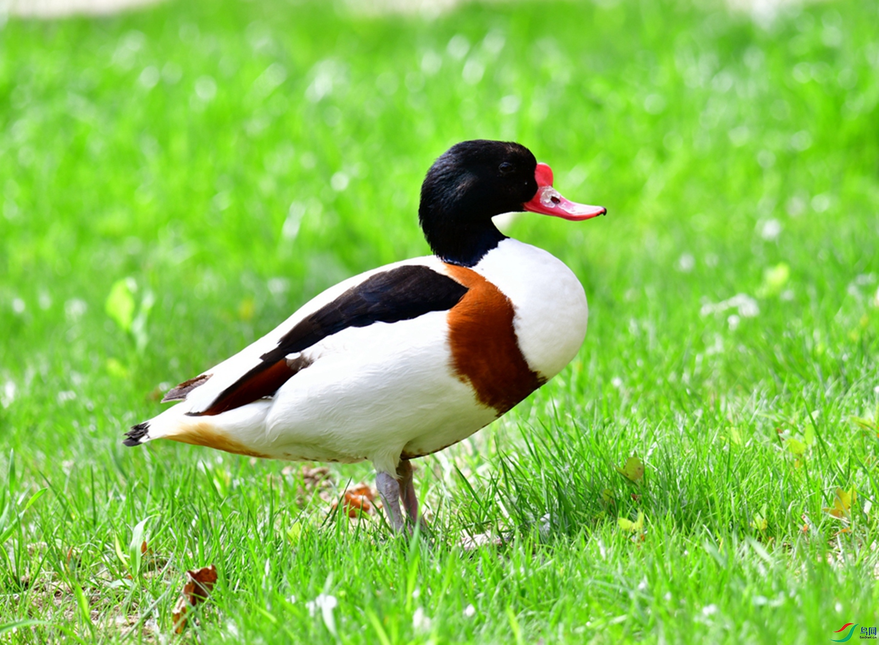 DSC_5162.jpg