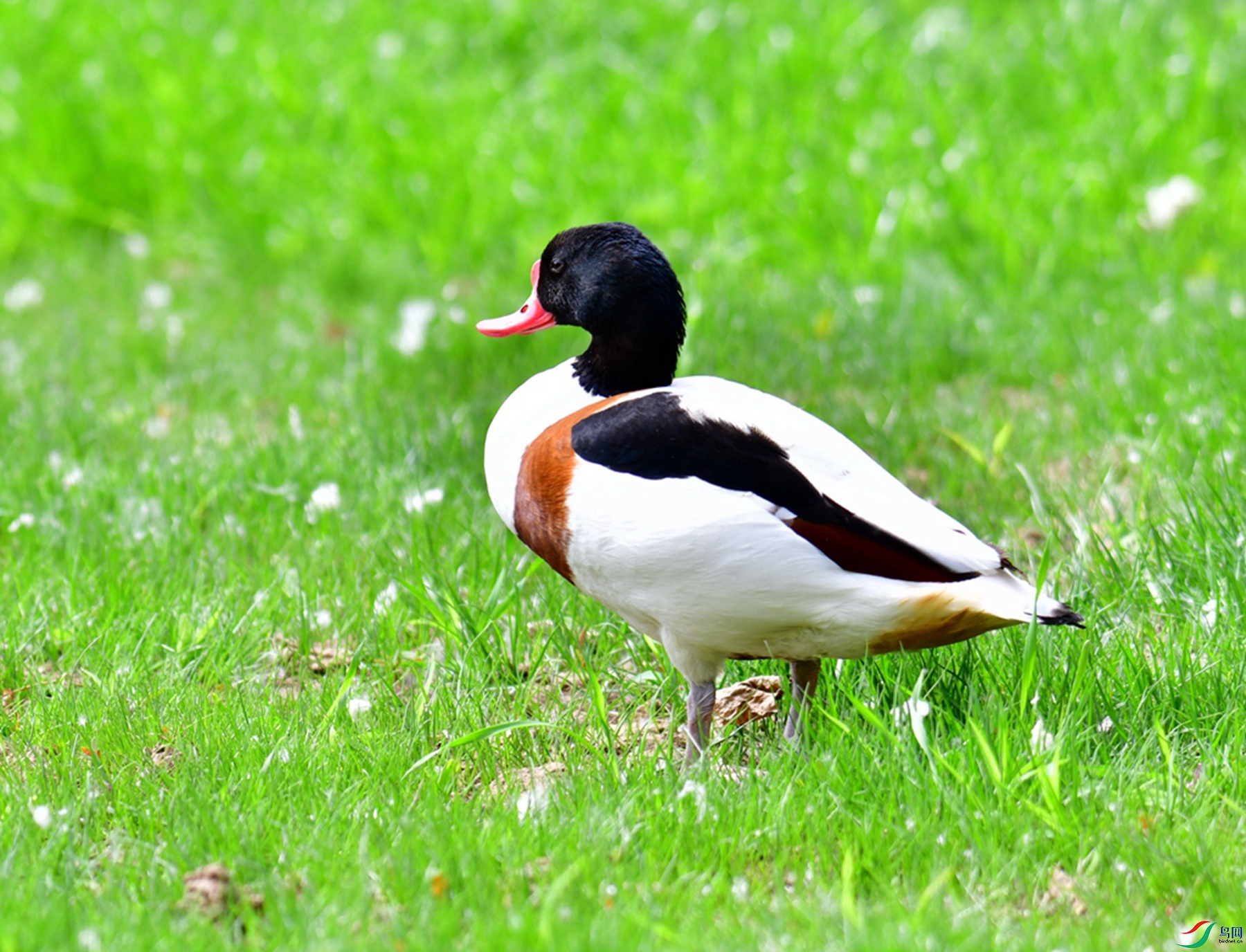 DSC_5159.jpg