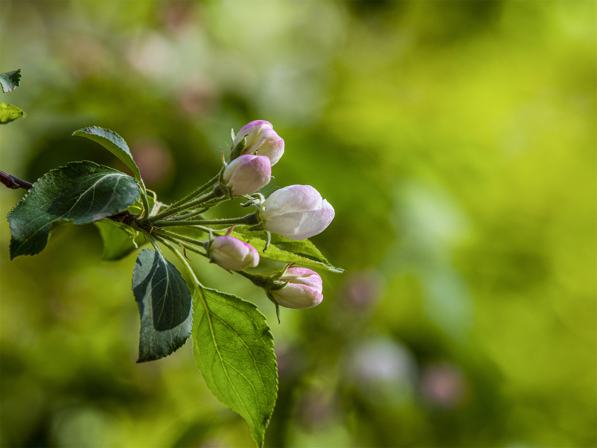 CY4A8445 ����1.jpg